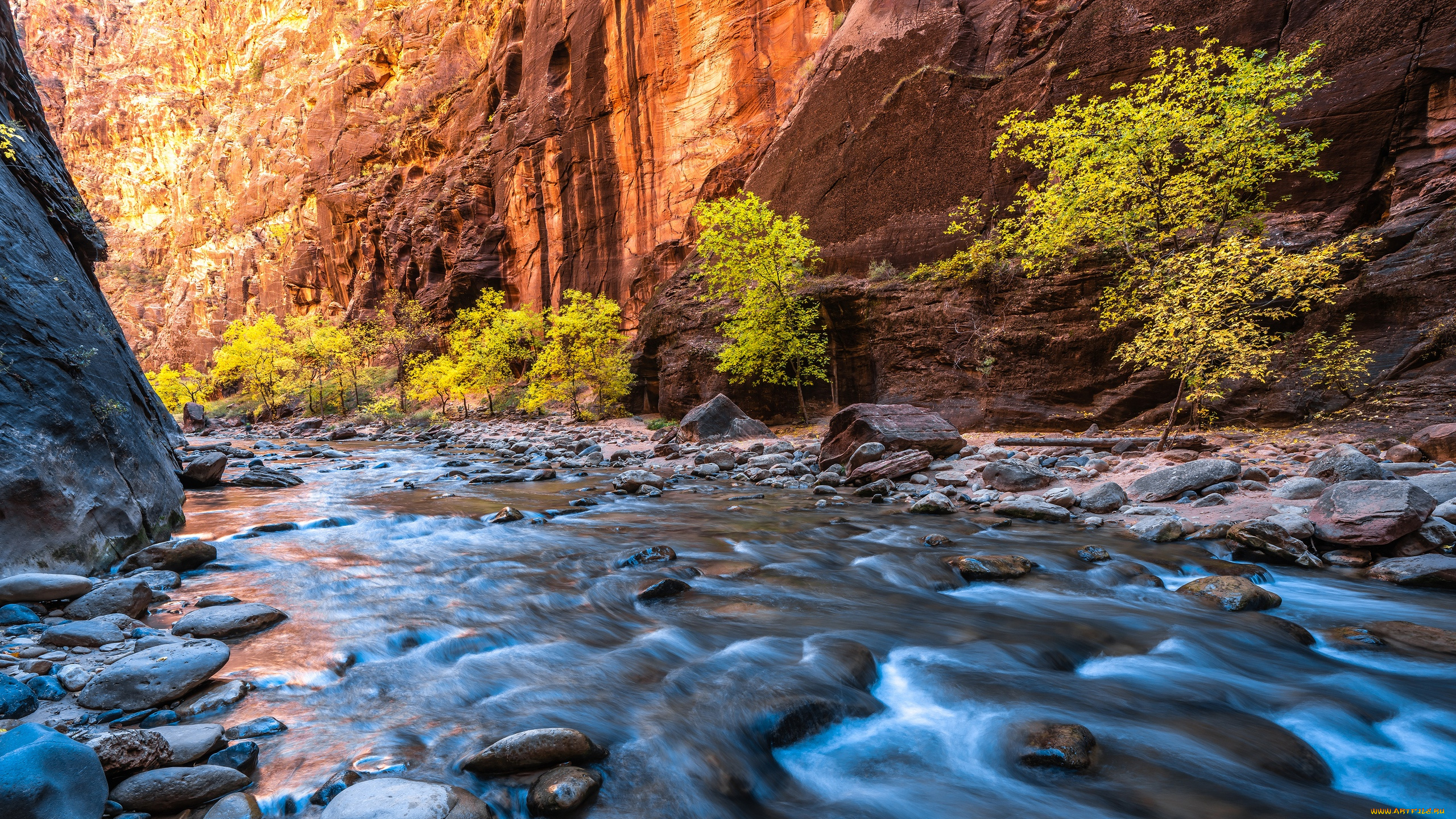 природа, реки, озера, национальный, парк, зайон, сша, юта