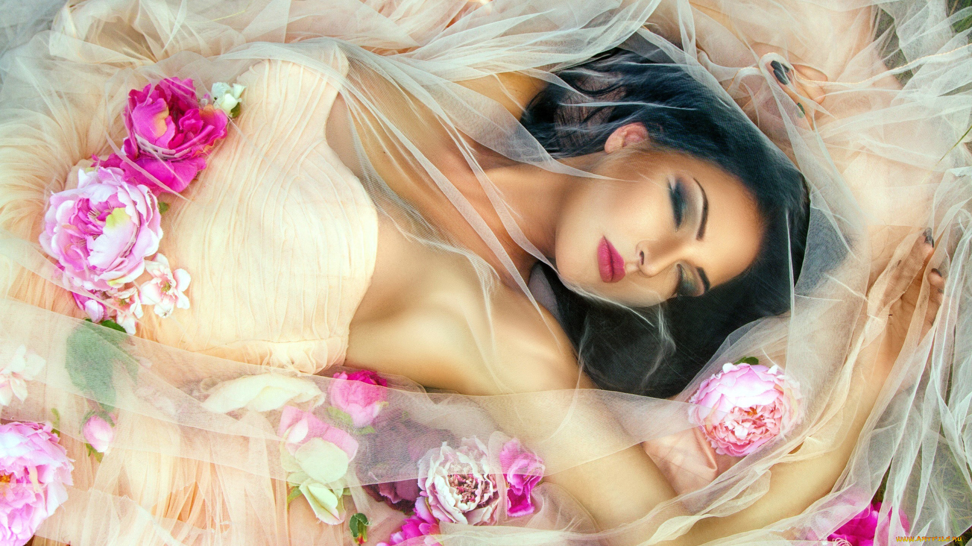 девушки, -, невесты, невеста, цветы, фата, поза