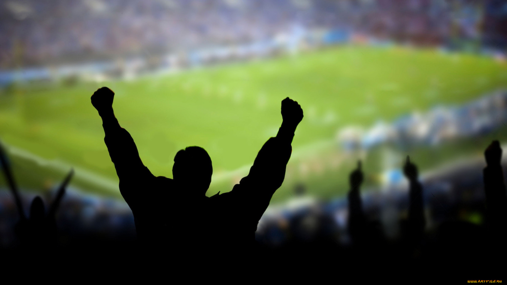 спорт, стадионы, стадион, поле, болельщики