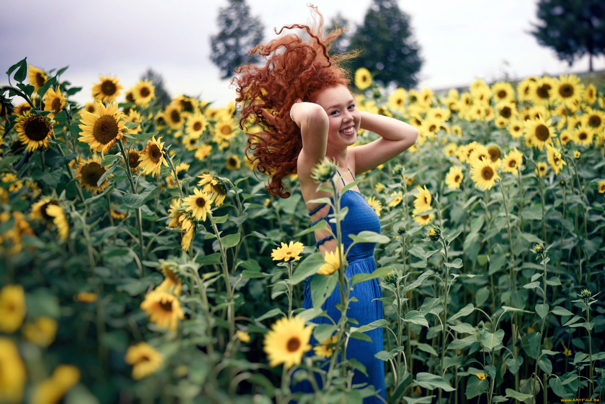 девушки, -, рыжеволосые, и, разноцветные, подсолнухи, рыженькая, локоны, улыбка