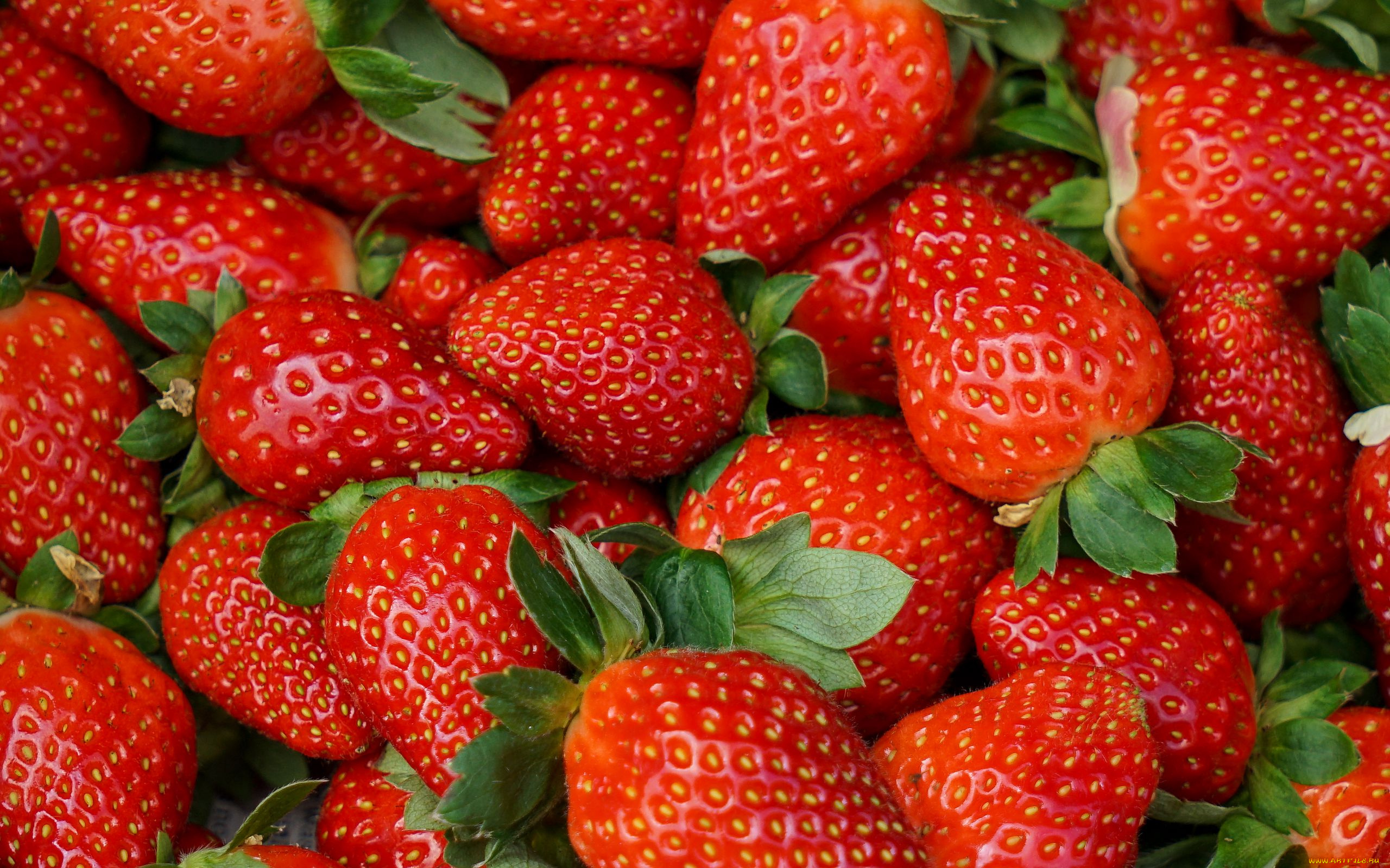 еда, клубника, , земляника, ягоды, крупная