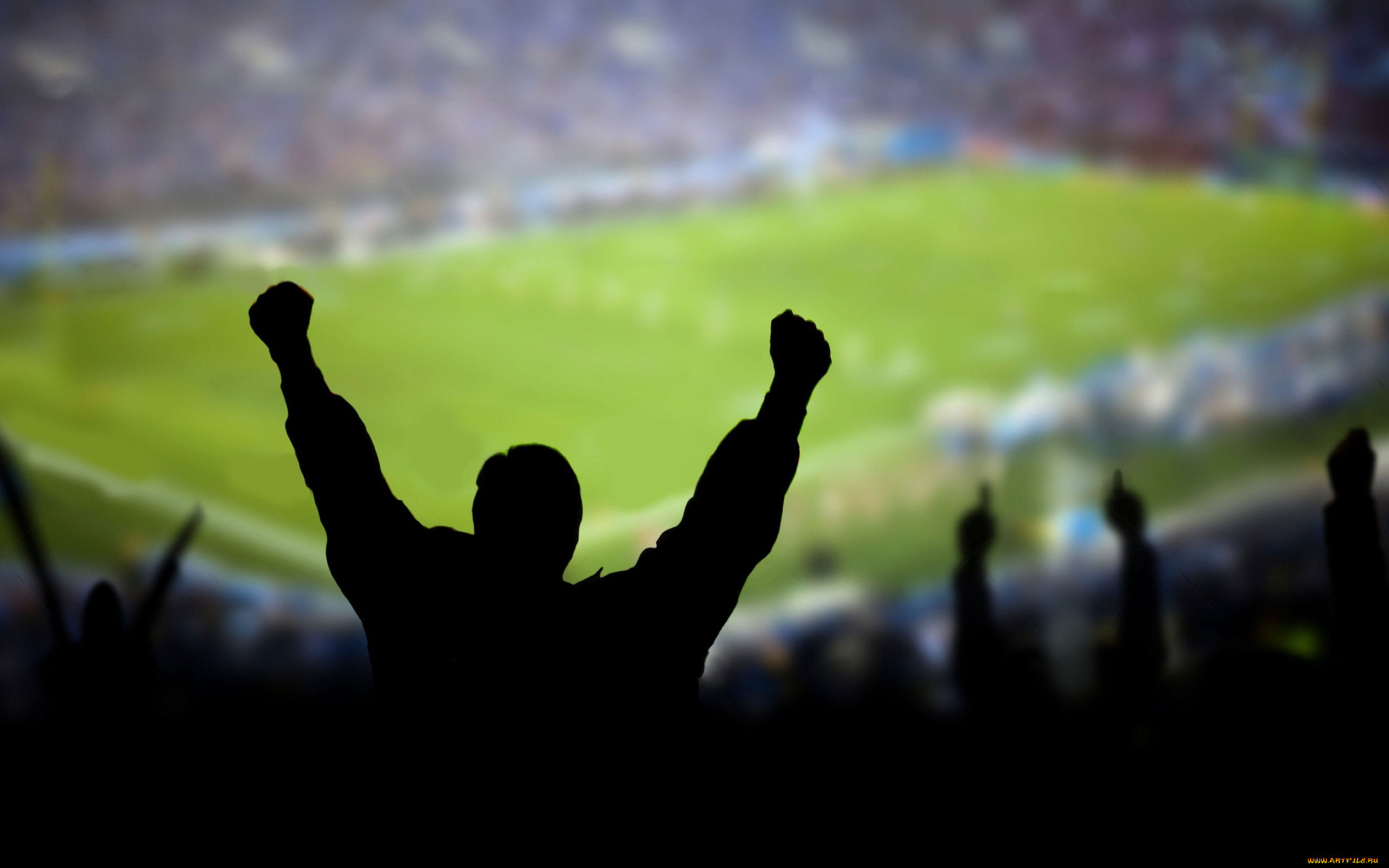 спорт, стадионы, стадион, поле, болельщики