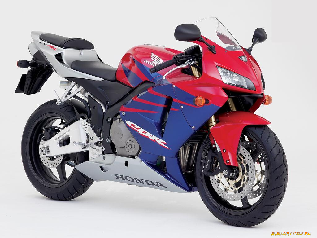 honda, cbr, 600, мотоциклы