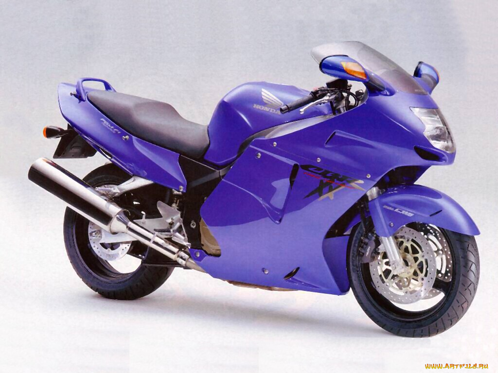 honda, cbr, xx, мотоциклы