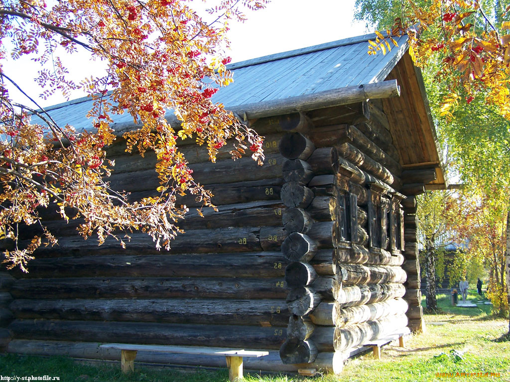 кострома, музей, деревянного, зодчества, осень, города, другое