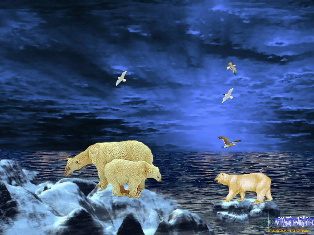 рисованные, животные, медведи