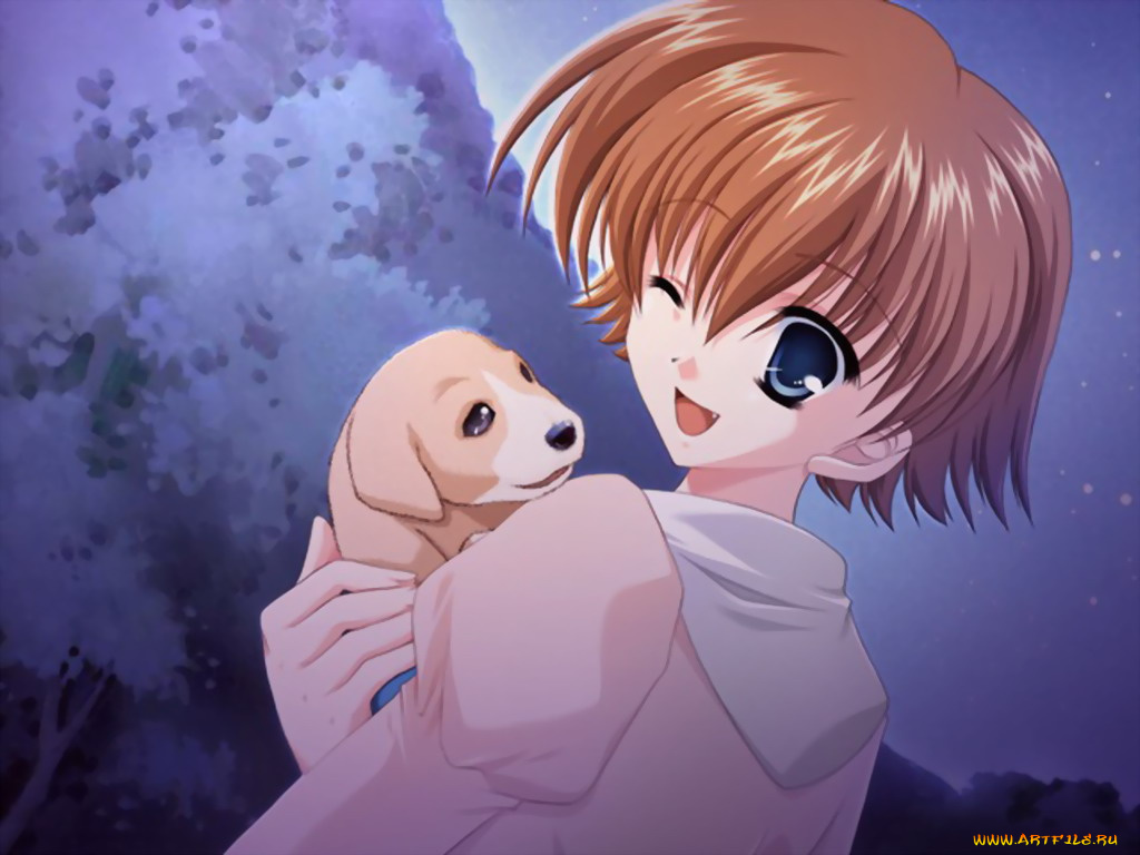 аниме, *unknown, другое