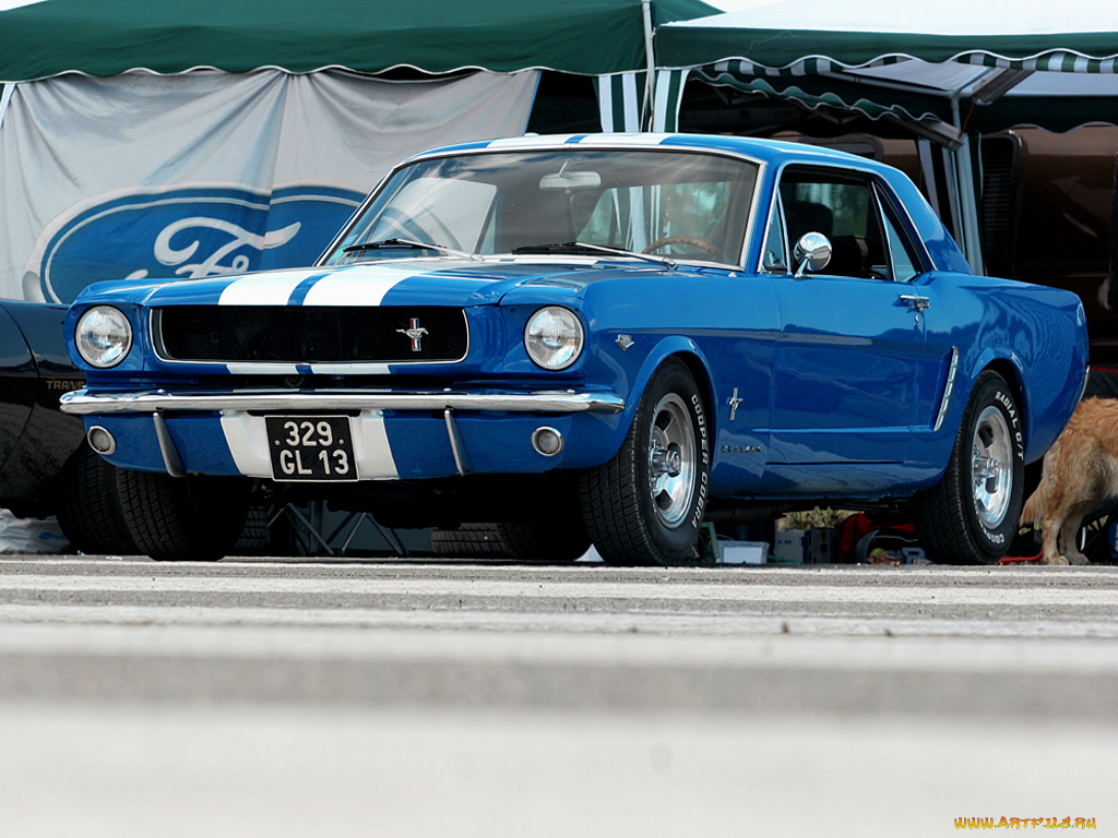 автомобили, mustang