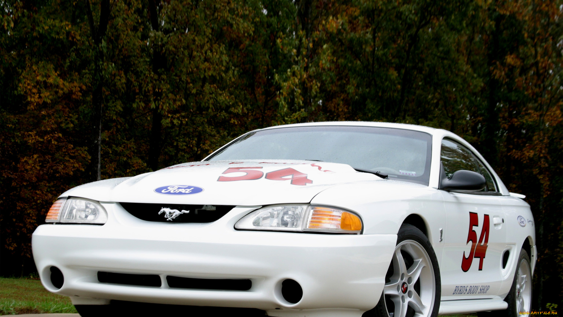 автомобили, mustang