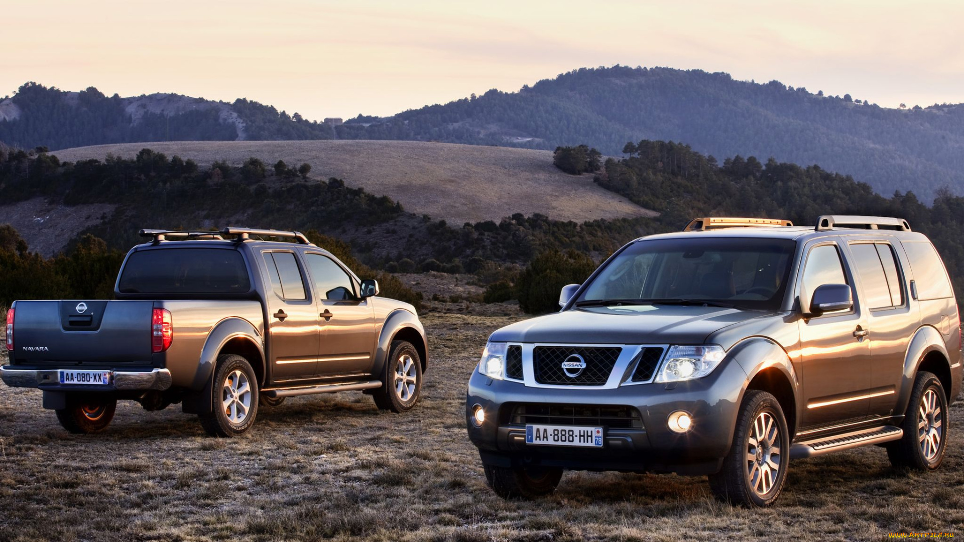 автомобили, nissan, datsun