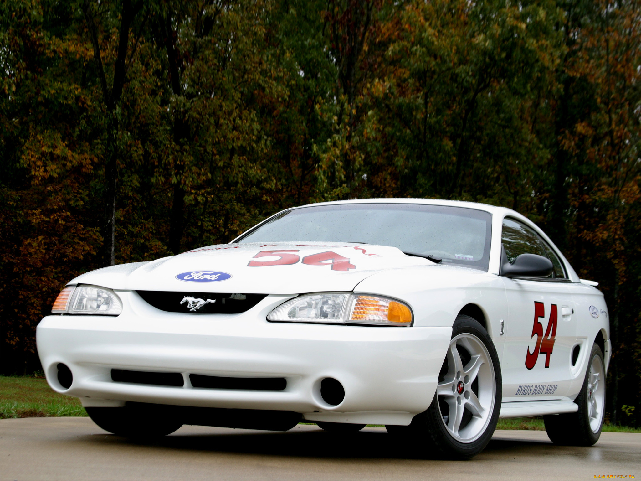 автомобили, mustang