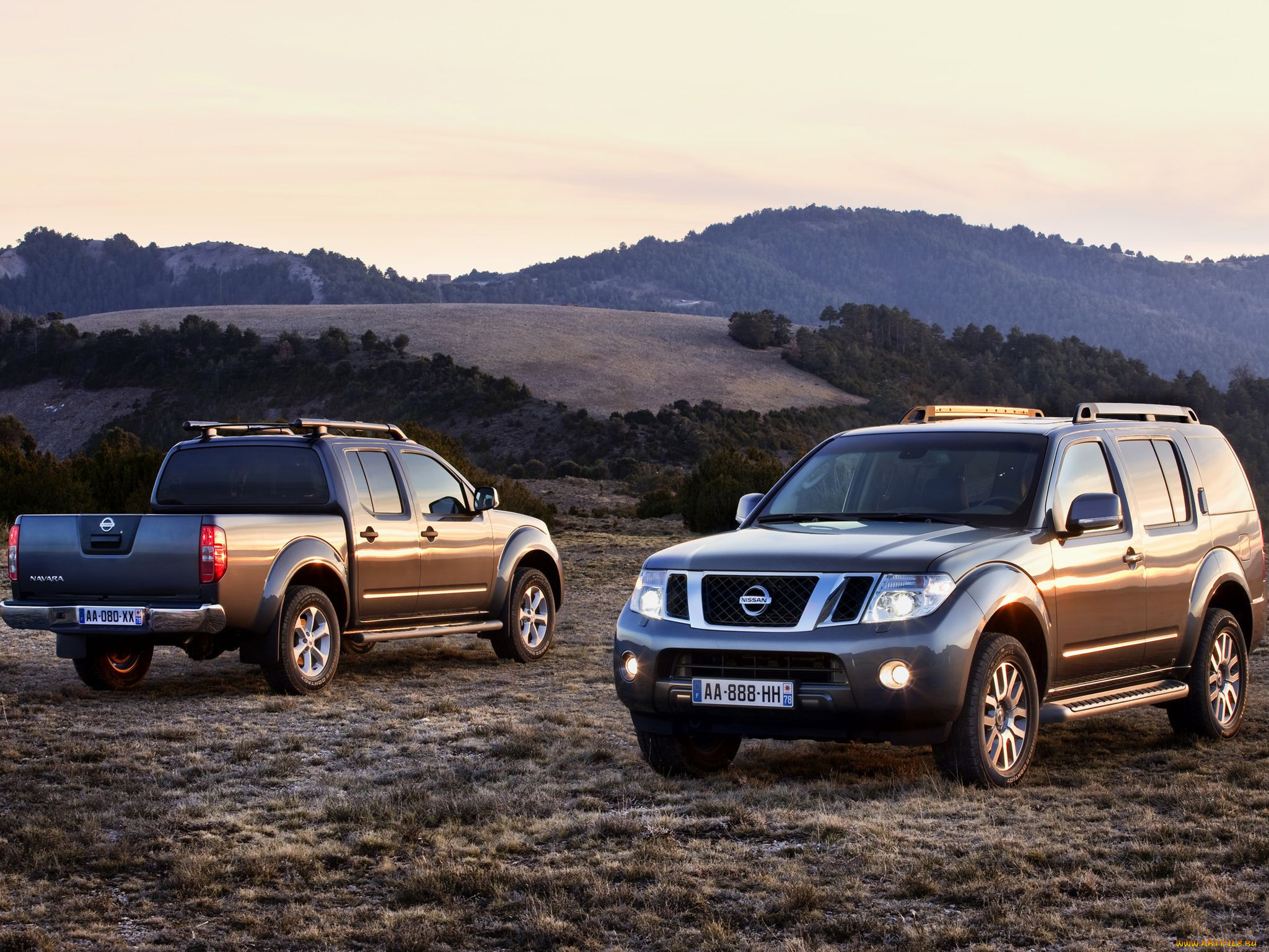 автомобили, nissan, datsun