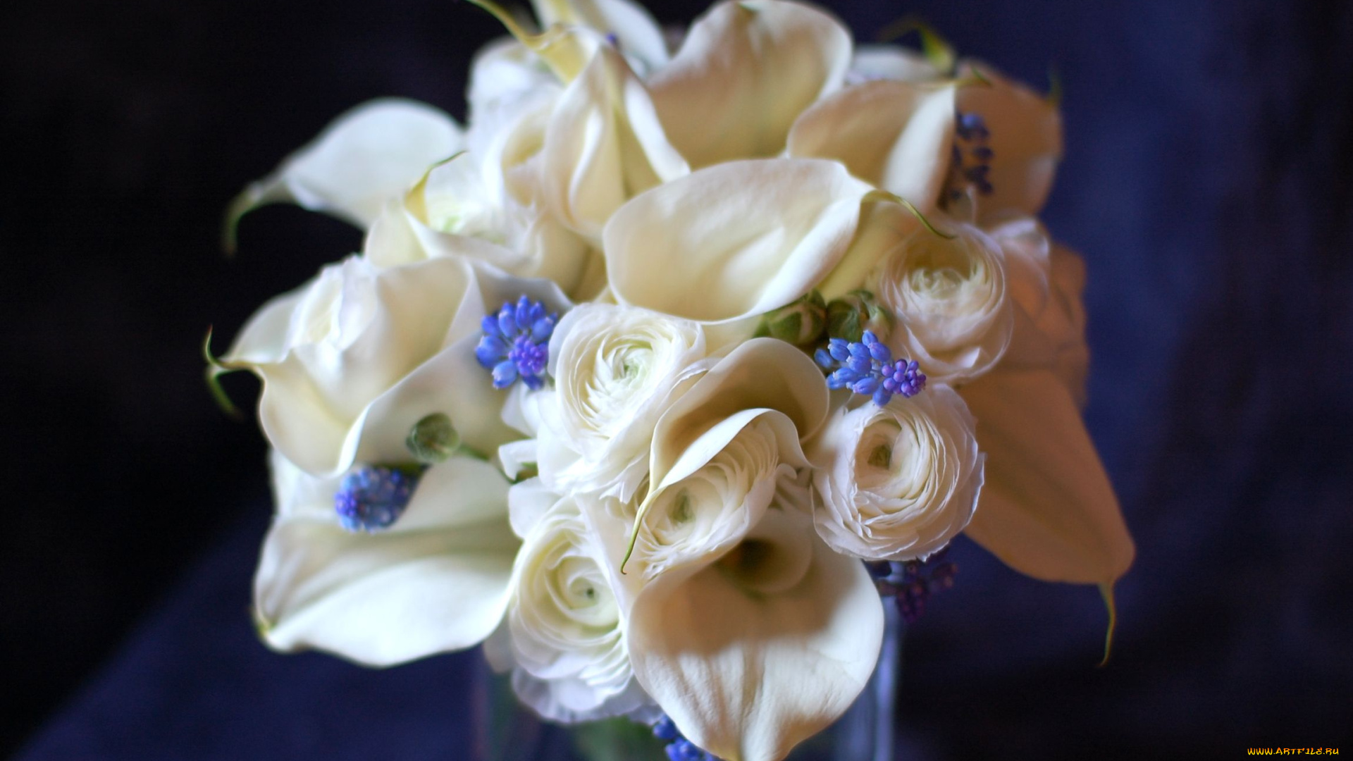 цветы, букеты, композиции, ранункулюс, гиацинт, каллы