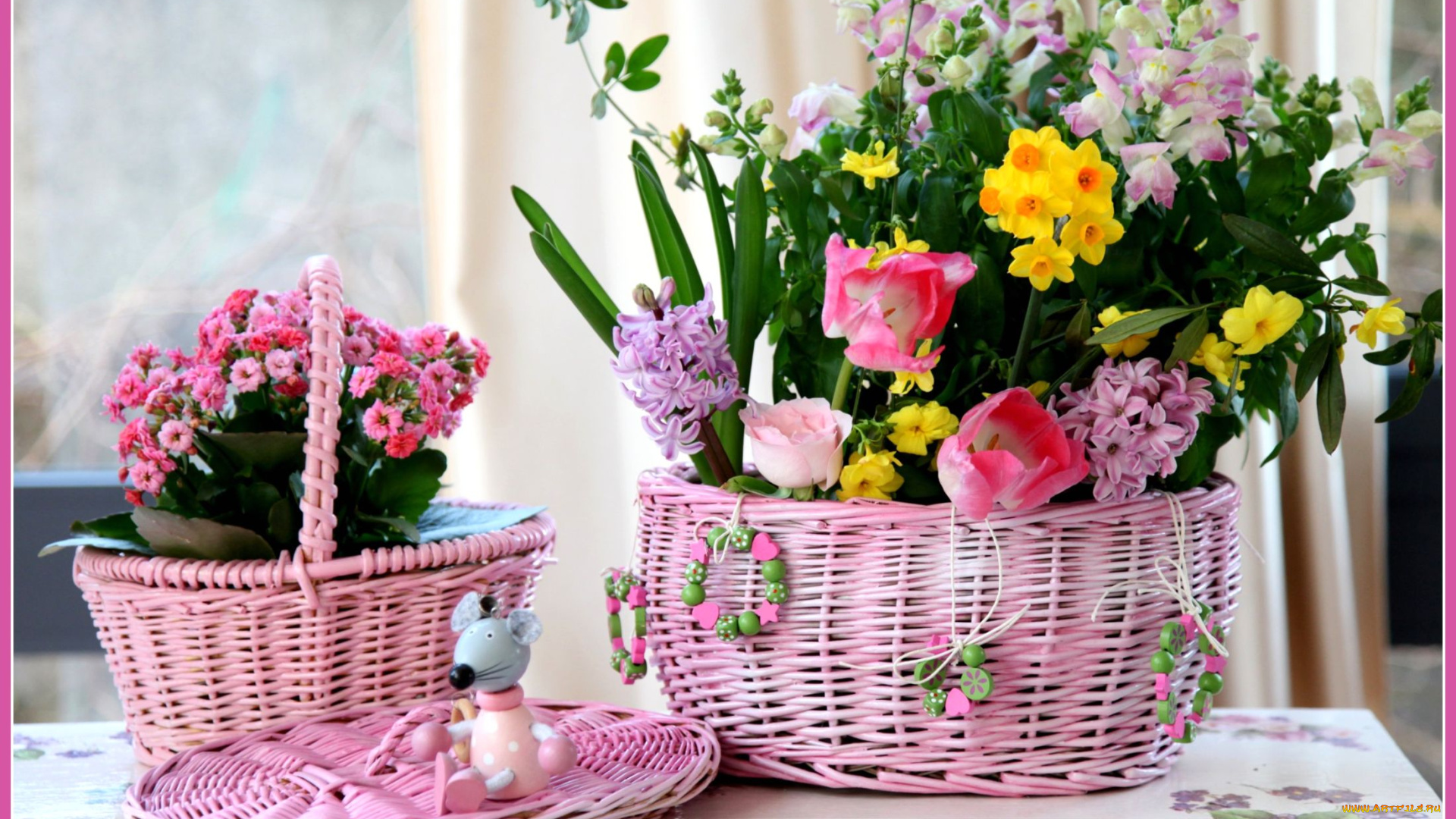 цветы, разные, вместе, корзины, гиацинт, каланхоэ, мышонок, тюльпаны, нарциссы