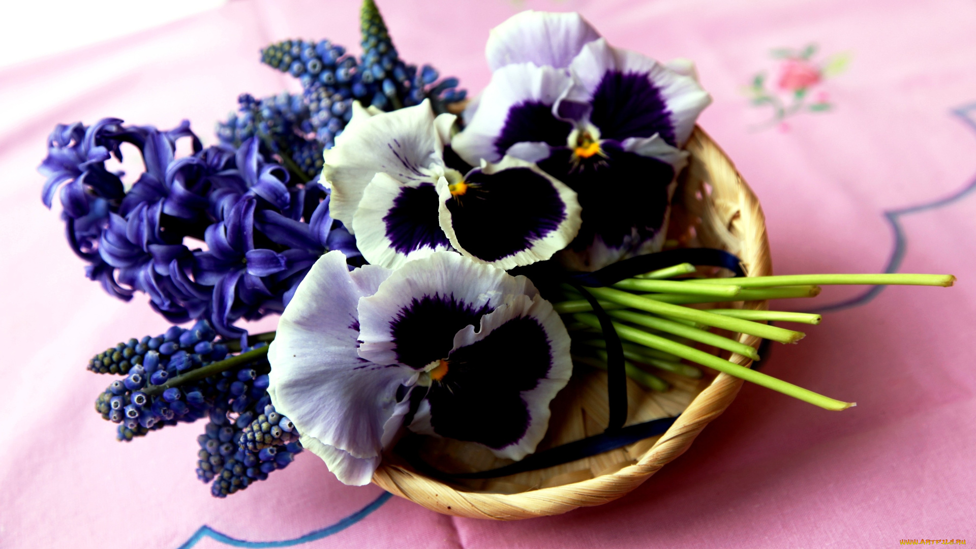 цветы, разные, вместе, виола, гиацинты