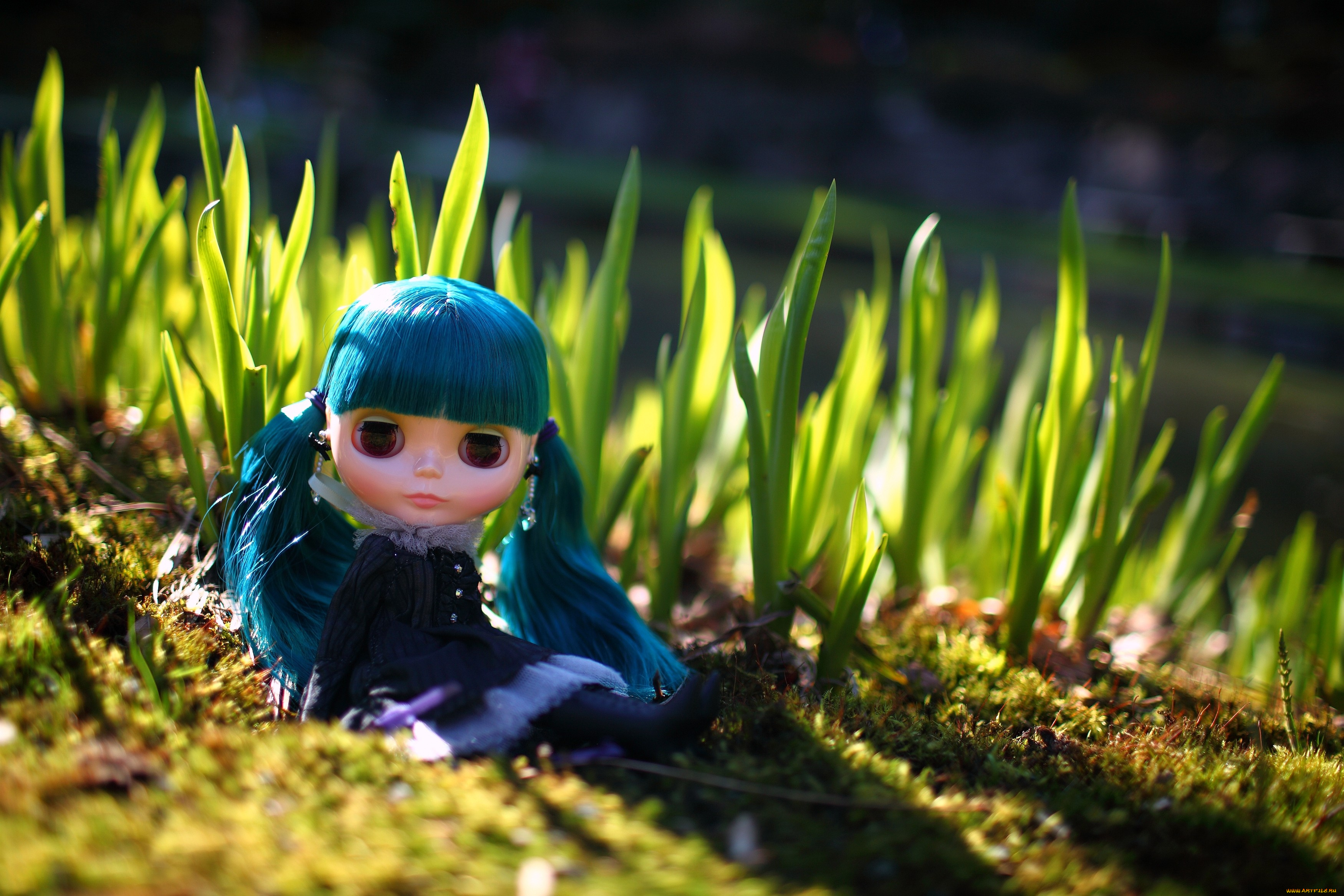 разное, игрушки, кукла, трава