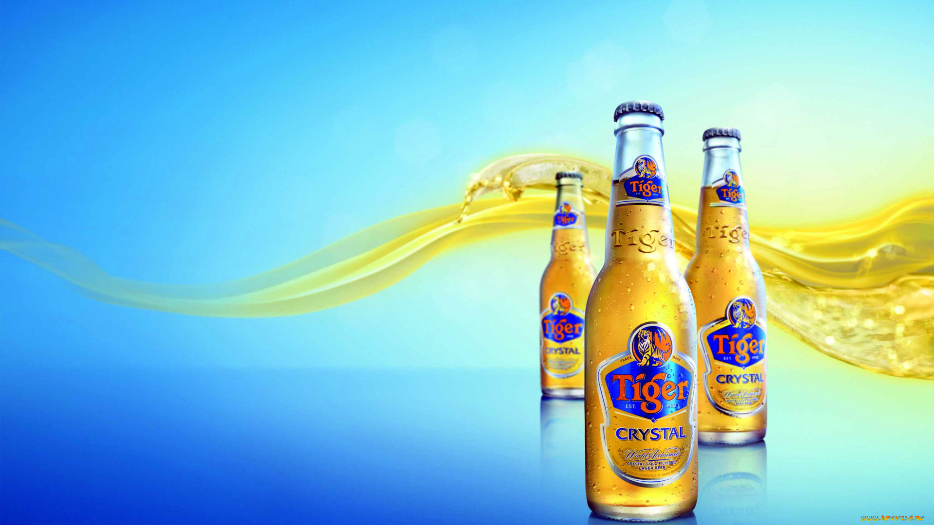 бренды, tiger, пиво