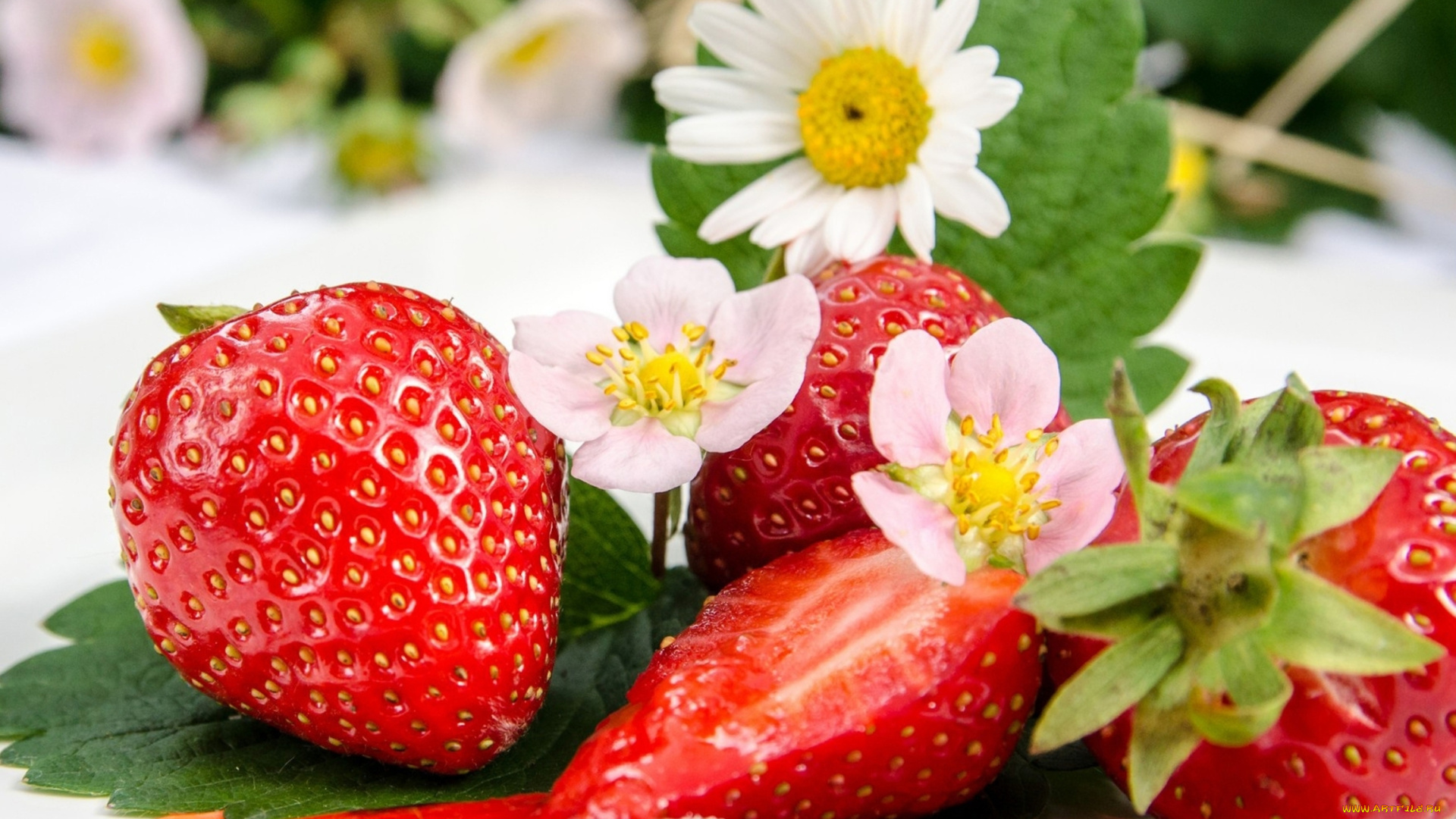 еда, клубника, , земляника, красные, ягоды, варенье, джем, листья, цветы