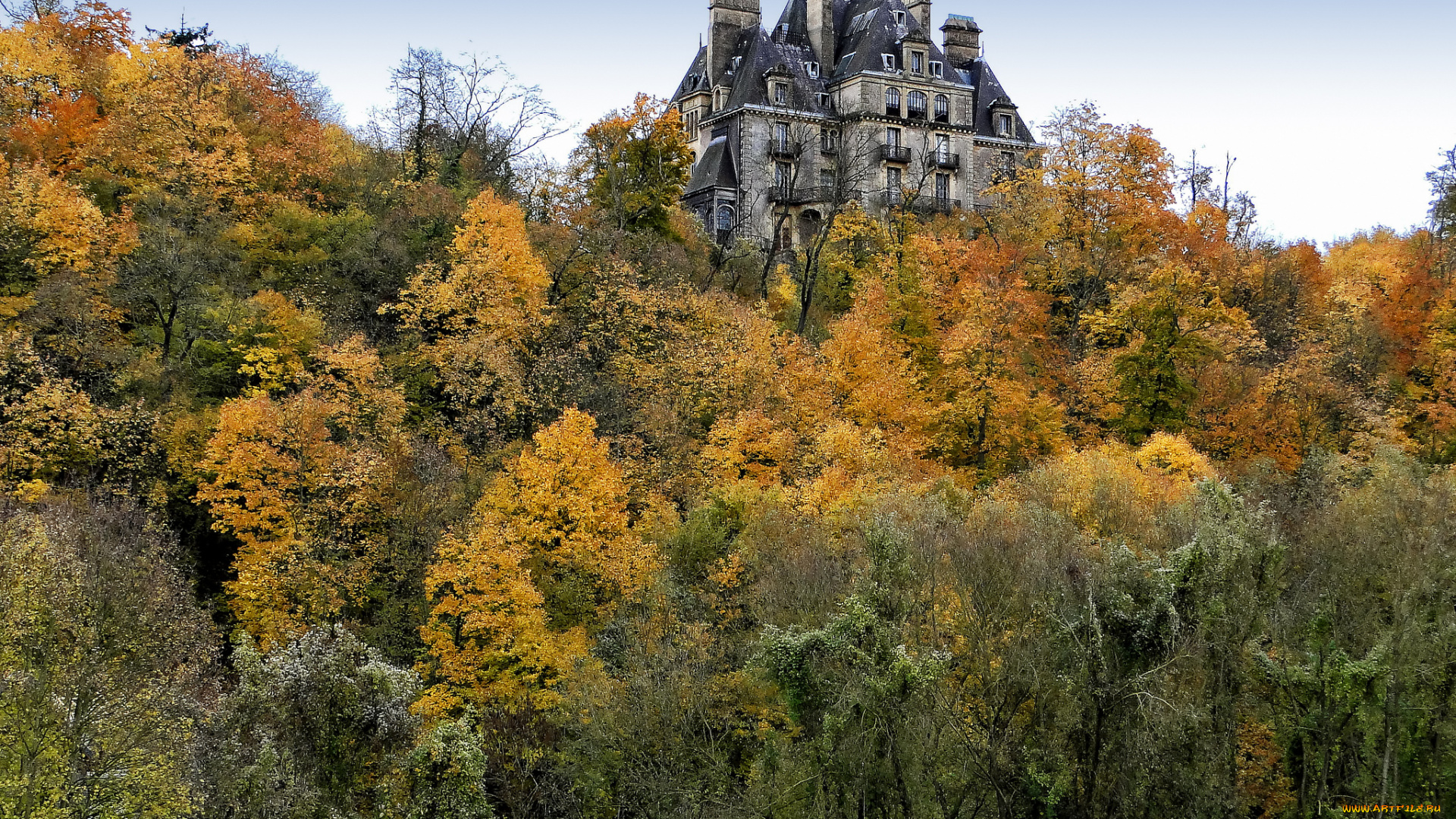 города, -, дворцы, , замки, , крепости, осень, лес, замок