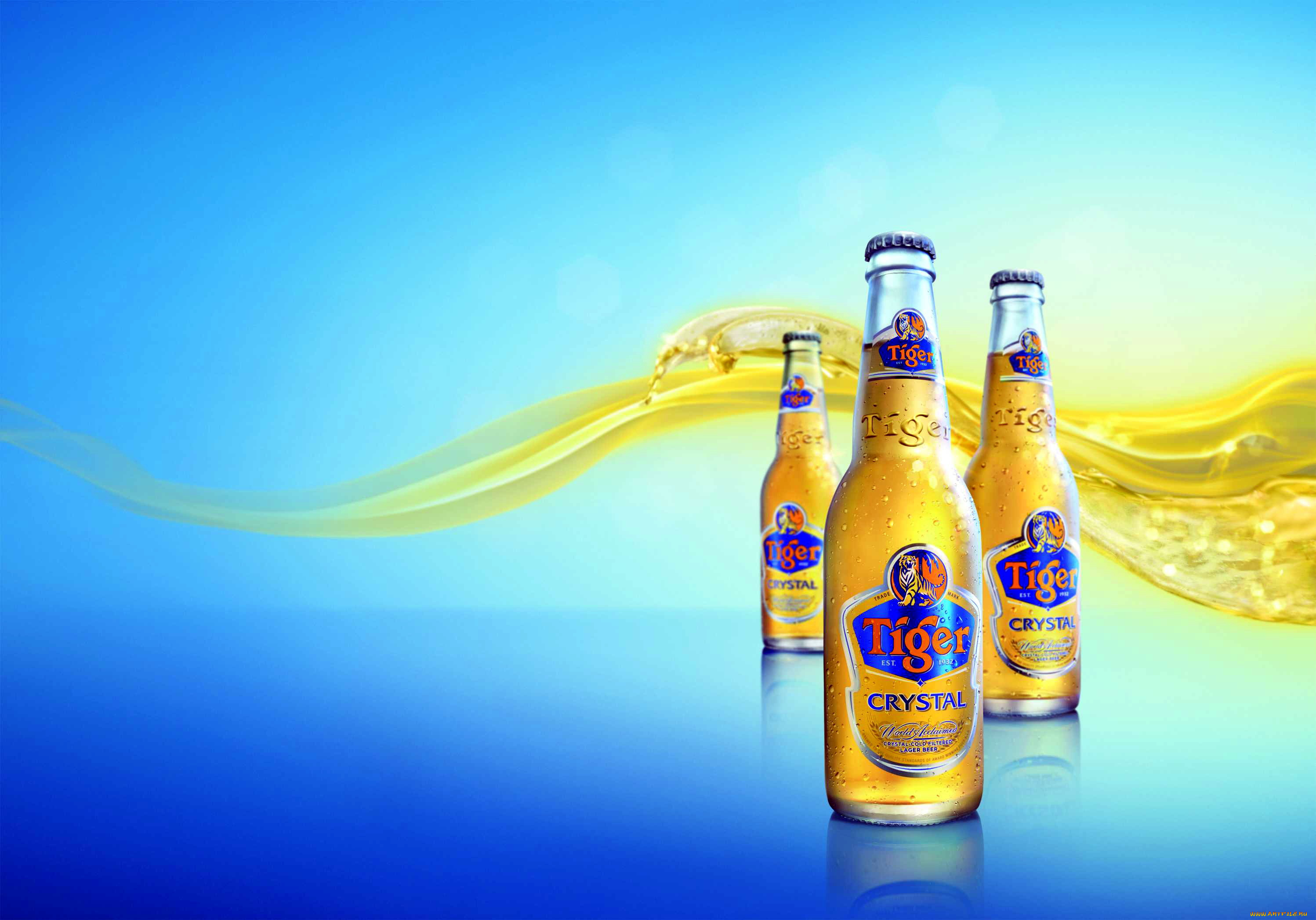 бренды, tiger, пиво