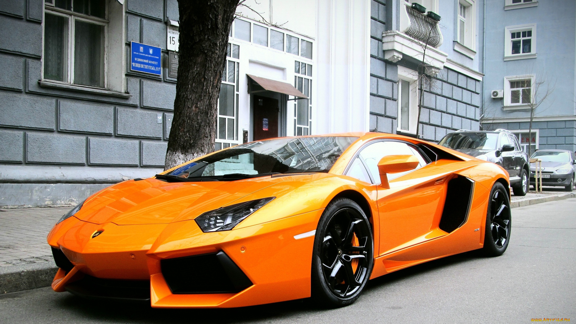 автомобили, выставки, и, уличные, фото, lamborghini
