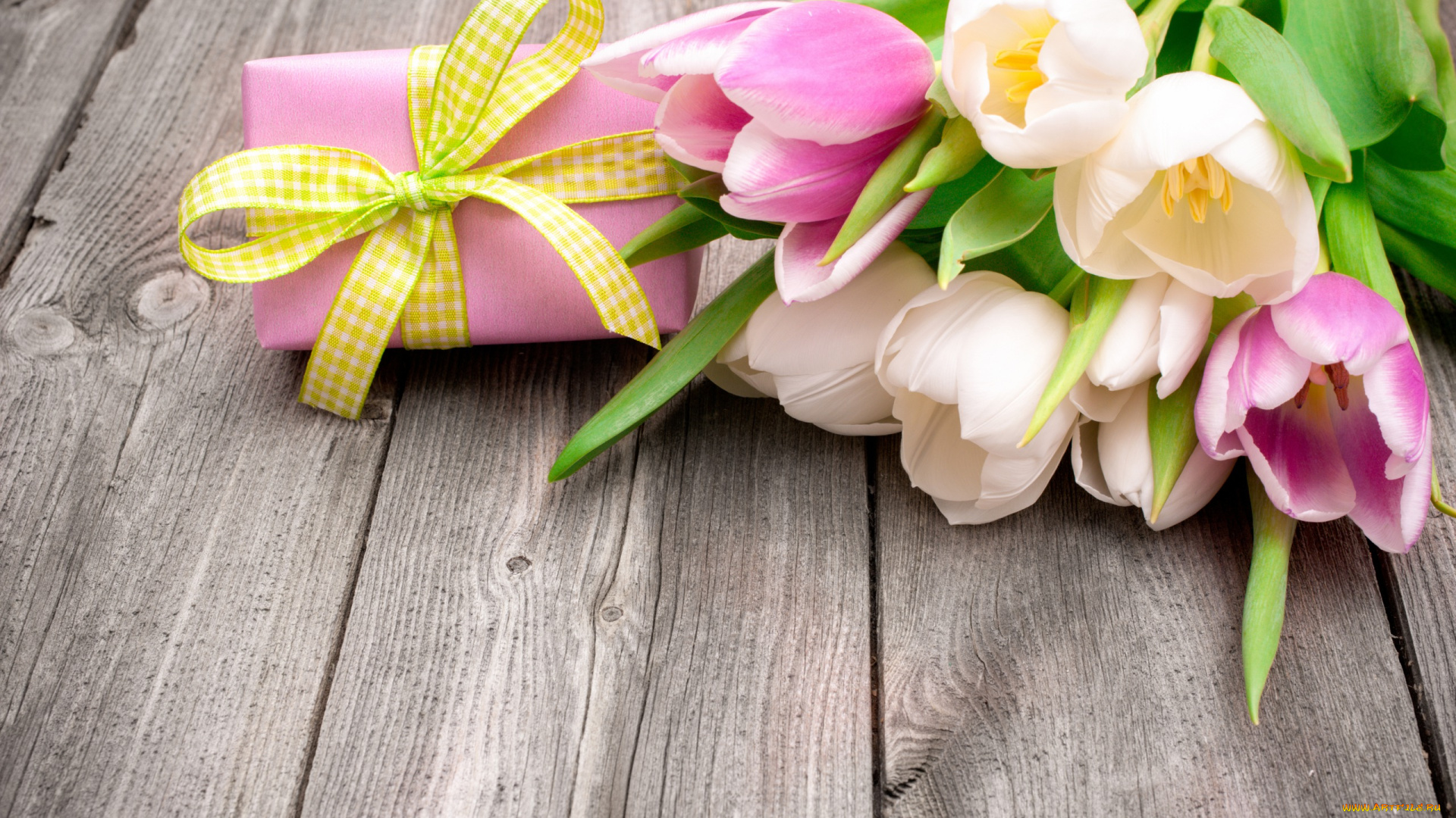 цветы, тюльпаны, бант, лента, подарок