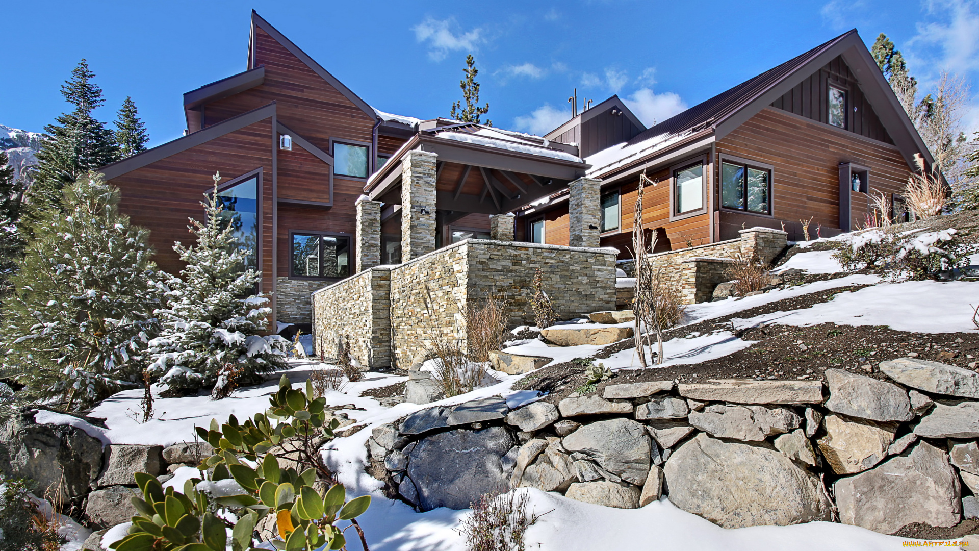 города, -, здания, , дома, особняк, дом, зима, ели