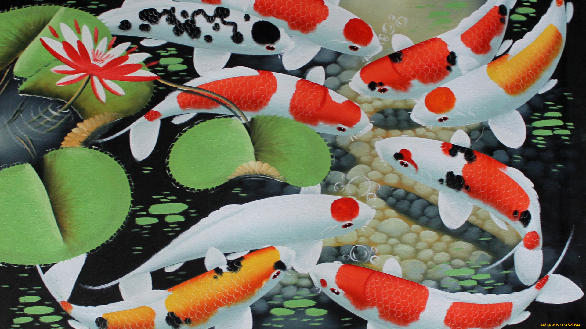 рисованное, животные, , рыбы, рыбки