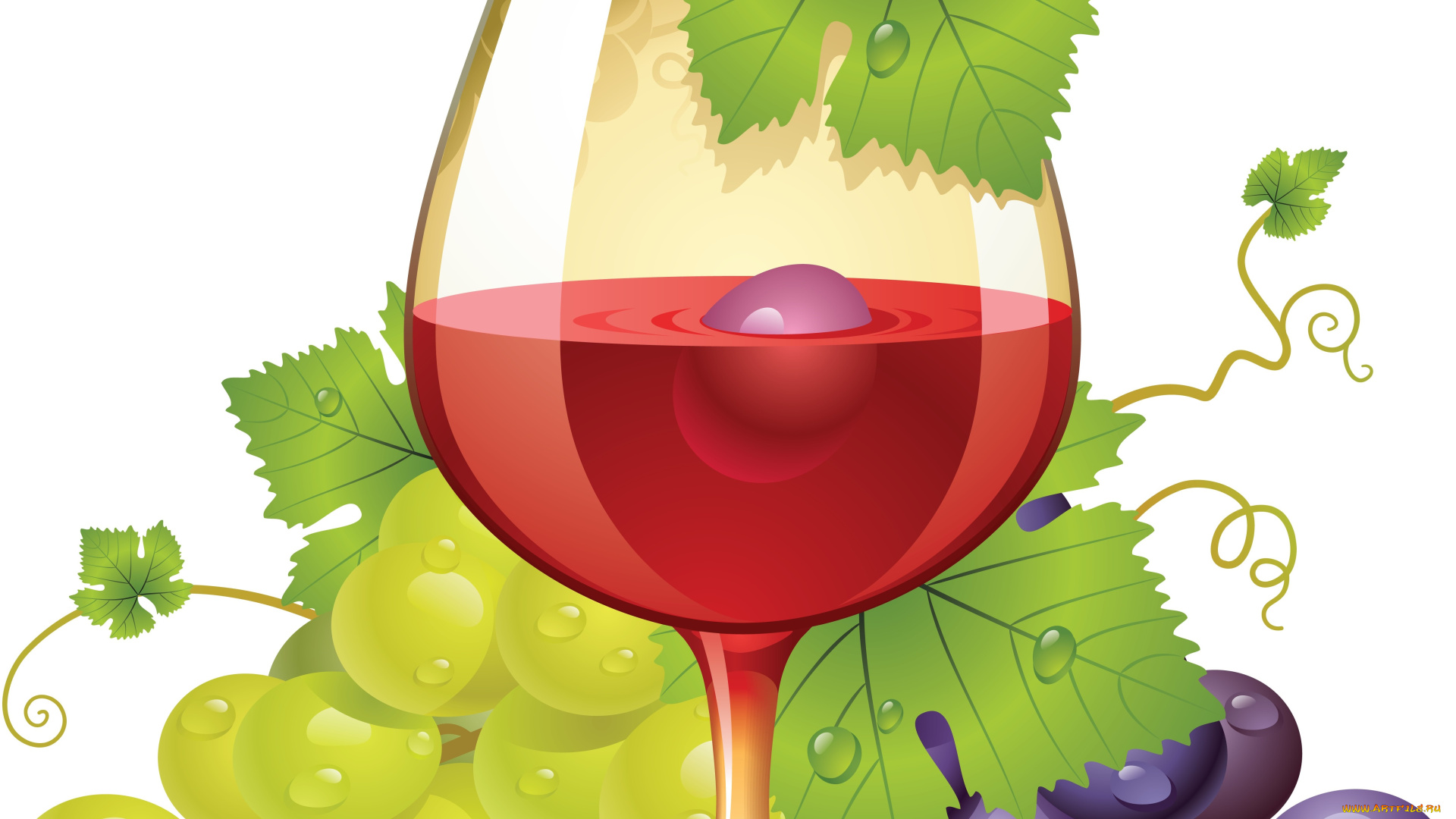 векторная, графика, еда, лоза, виноград, бокал, листья
