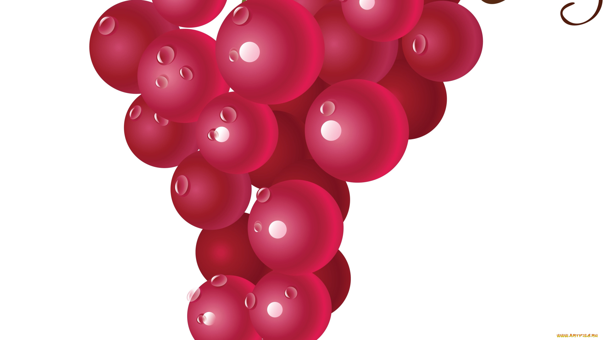 векторная, графика, еда, лоза, виноград, листья