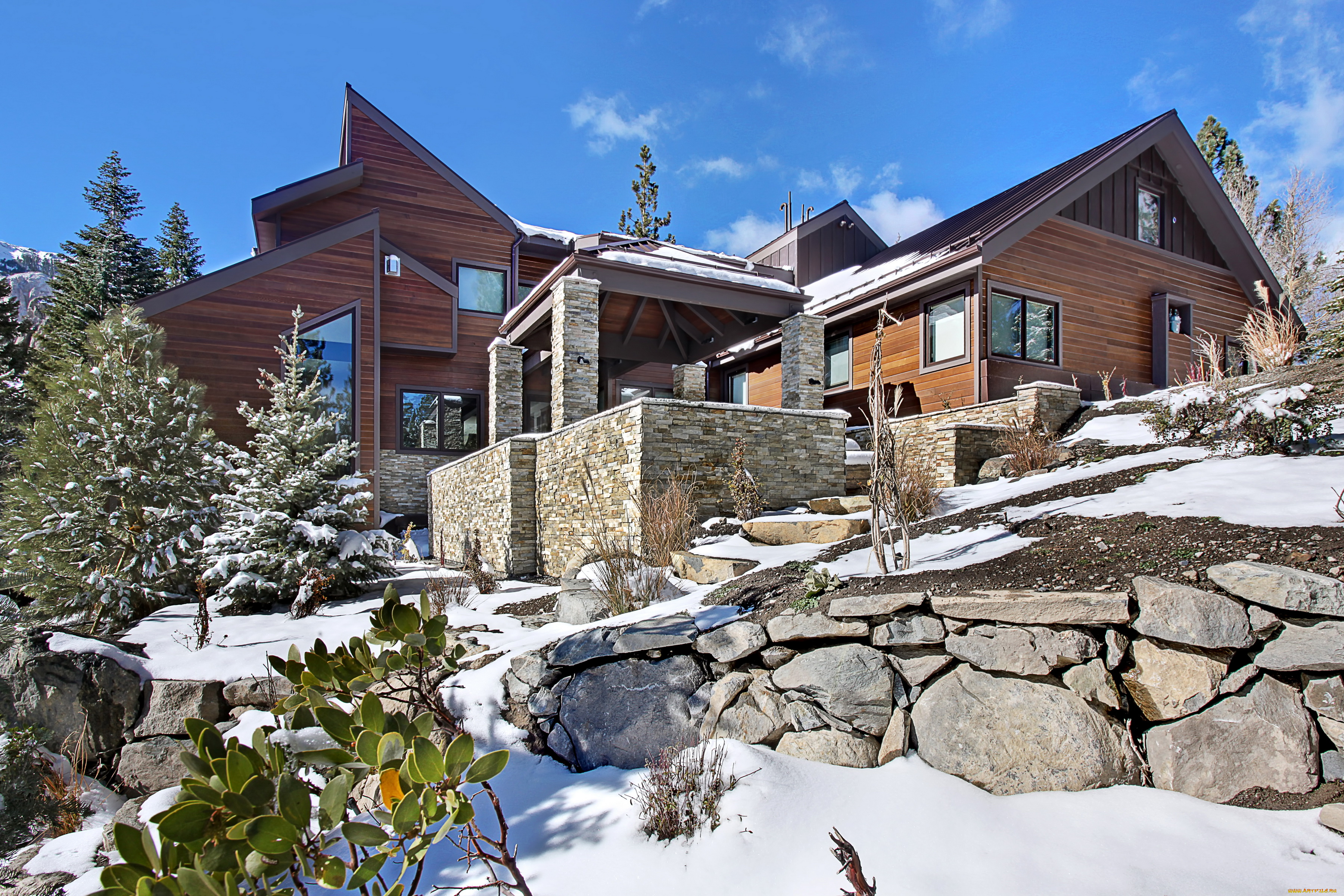 города, -, здания, , дома, особняк, дом, зима, ели