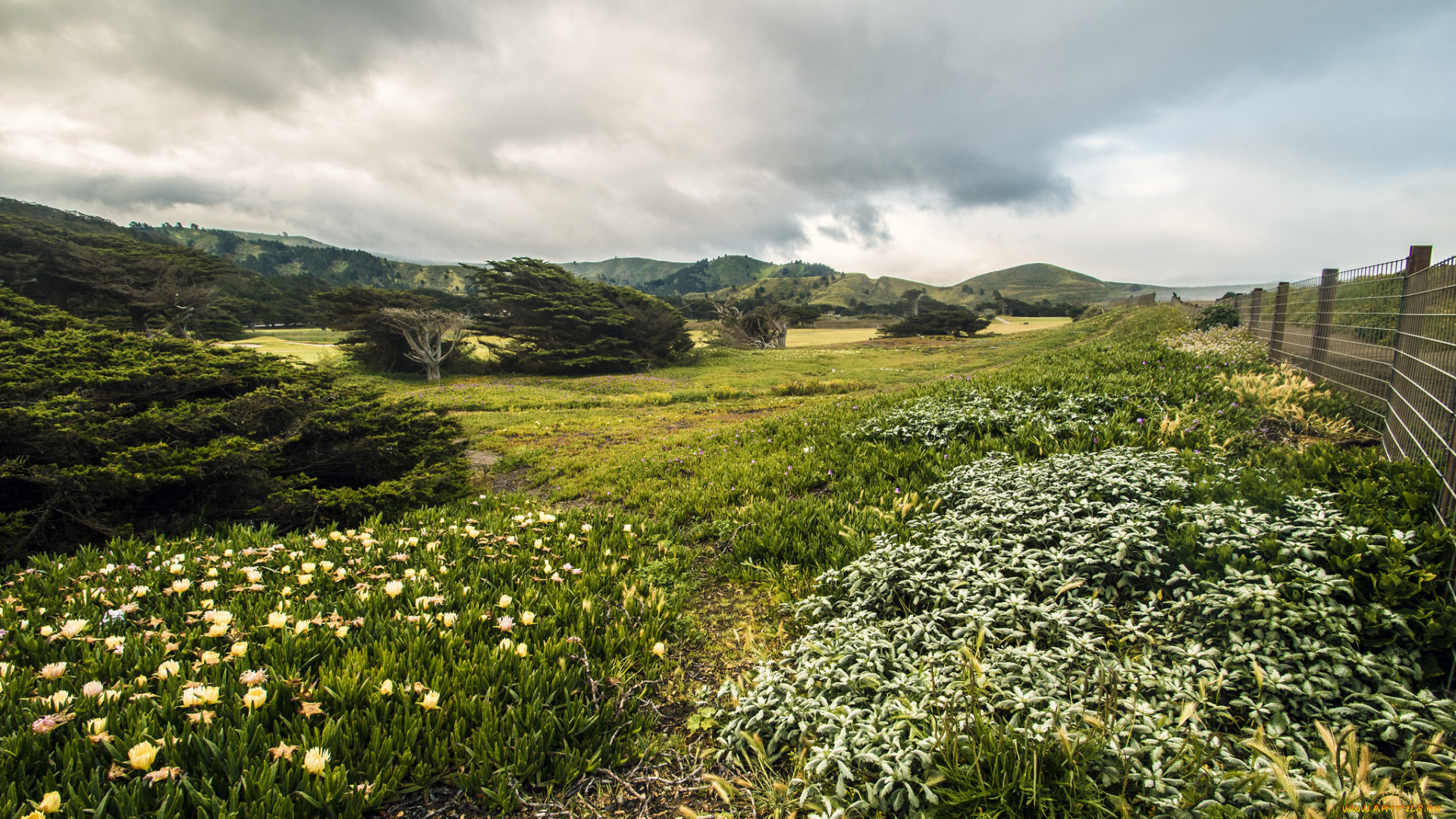 природа, луга, равнина