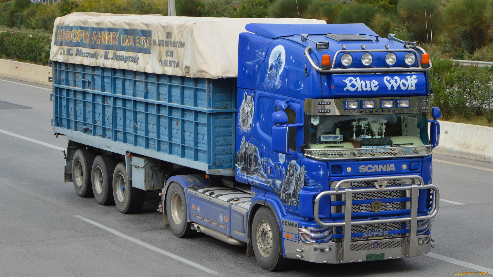scania, 144l, 530, blue, wolf, автомобили, scania, , выставка, улица, грузовик, тяжелый, тягач, седельный