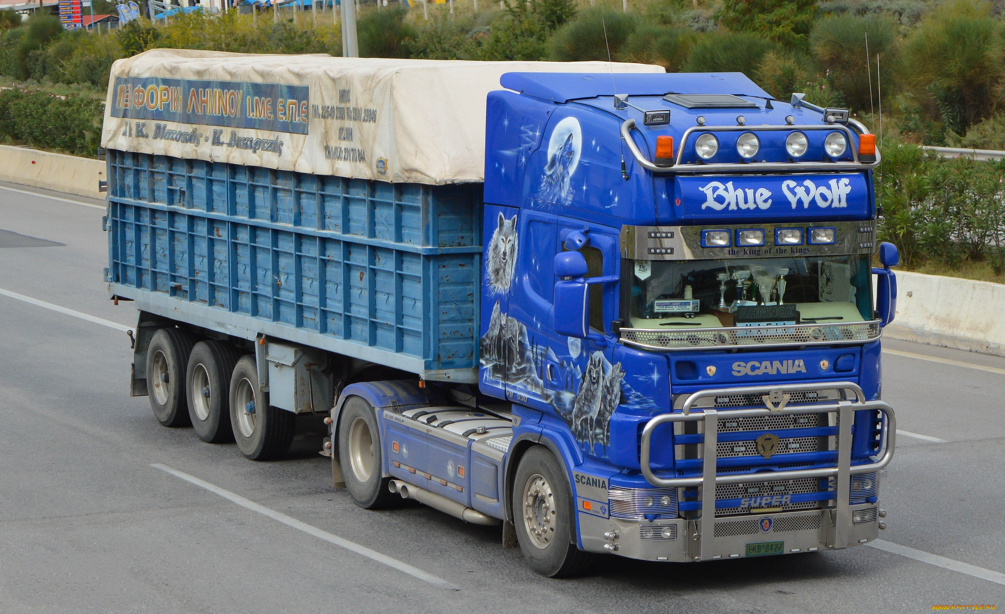 scania, 144l, 530, blue, wolf, автомобили, scania, , выставка, улица, грузовик, тяжелый, тягач, седельный