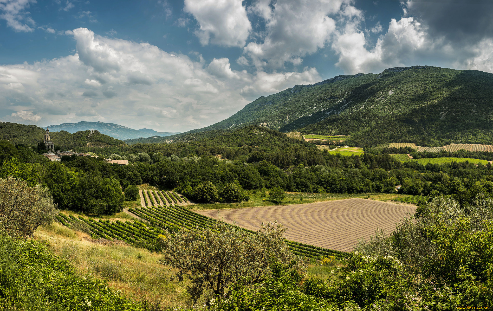 природа, пейзажи, предгорье