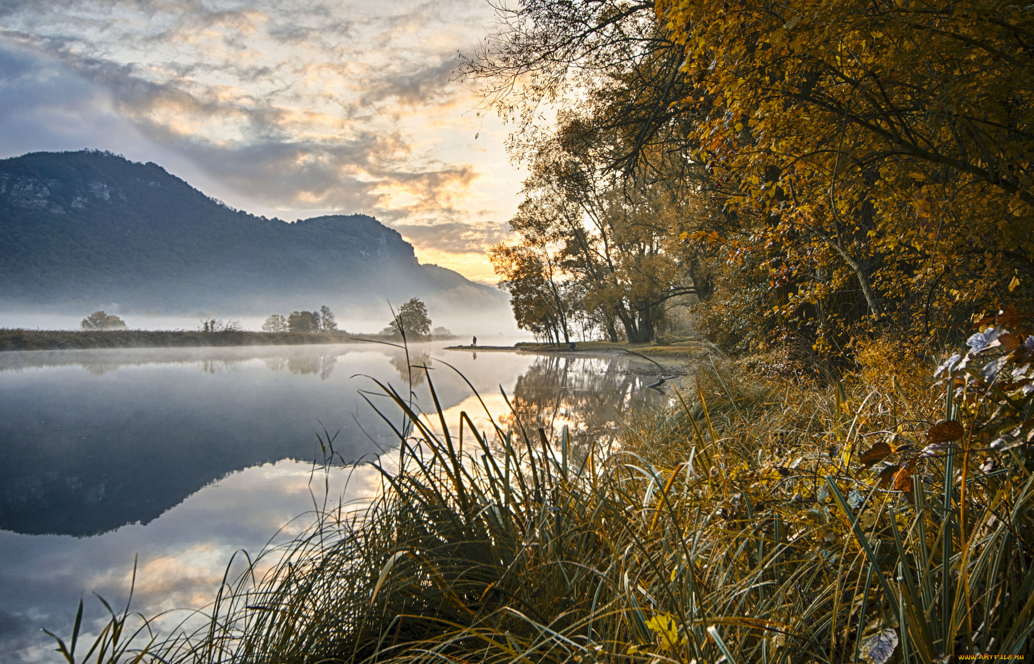 природа, реки, озера, туман, утро