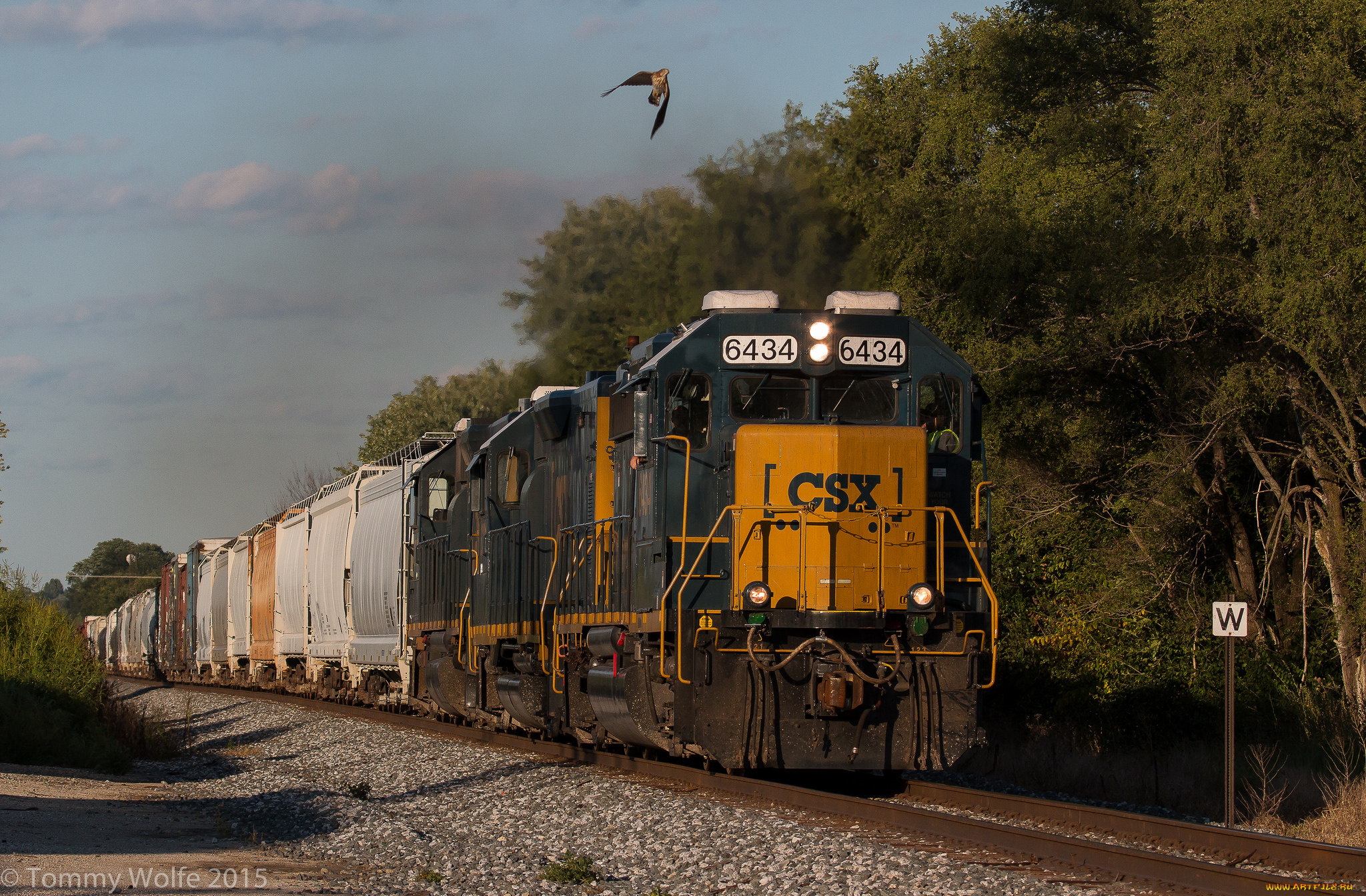 техника, поезда, состав, локомотив, рельсы