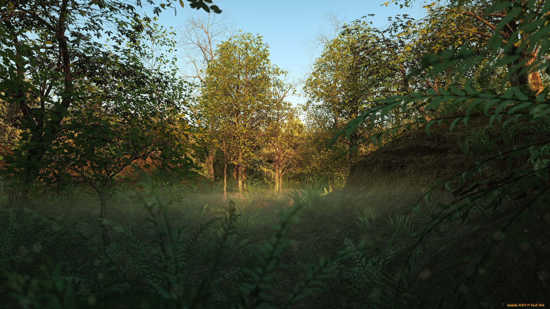 3д, графика, природа, , nature, деревья, лес