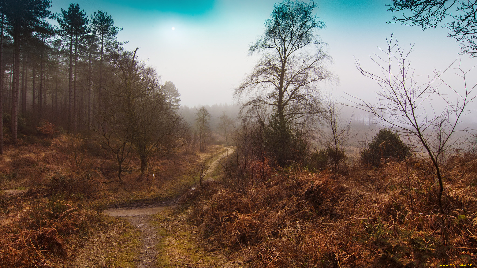 природа, дороги, дымка