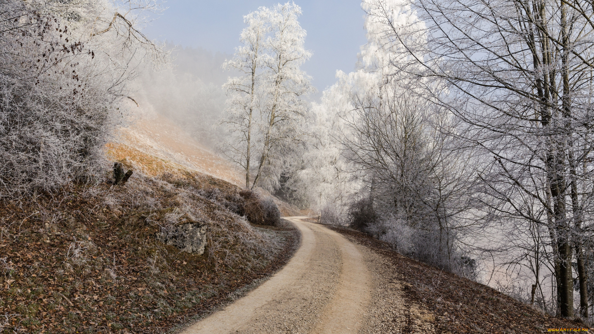 природа, дороги, иней
