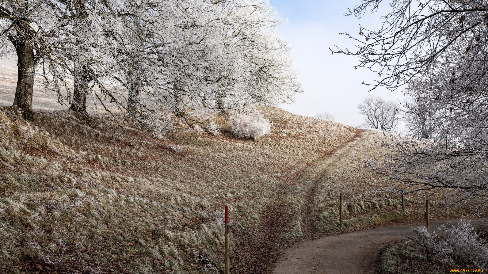 природа, дороги, иней