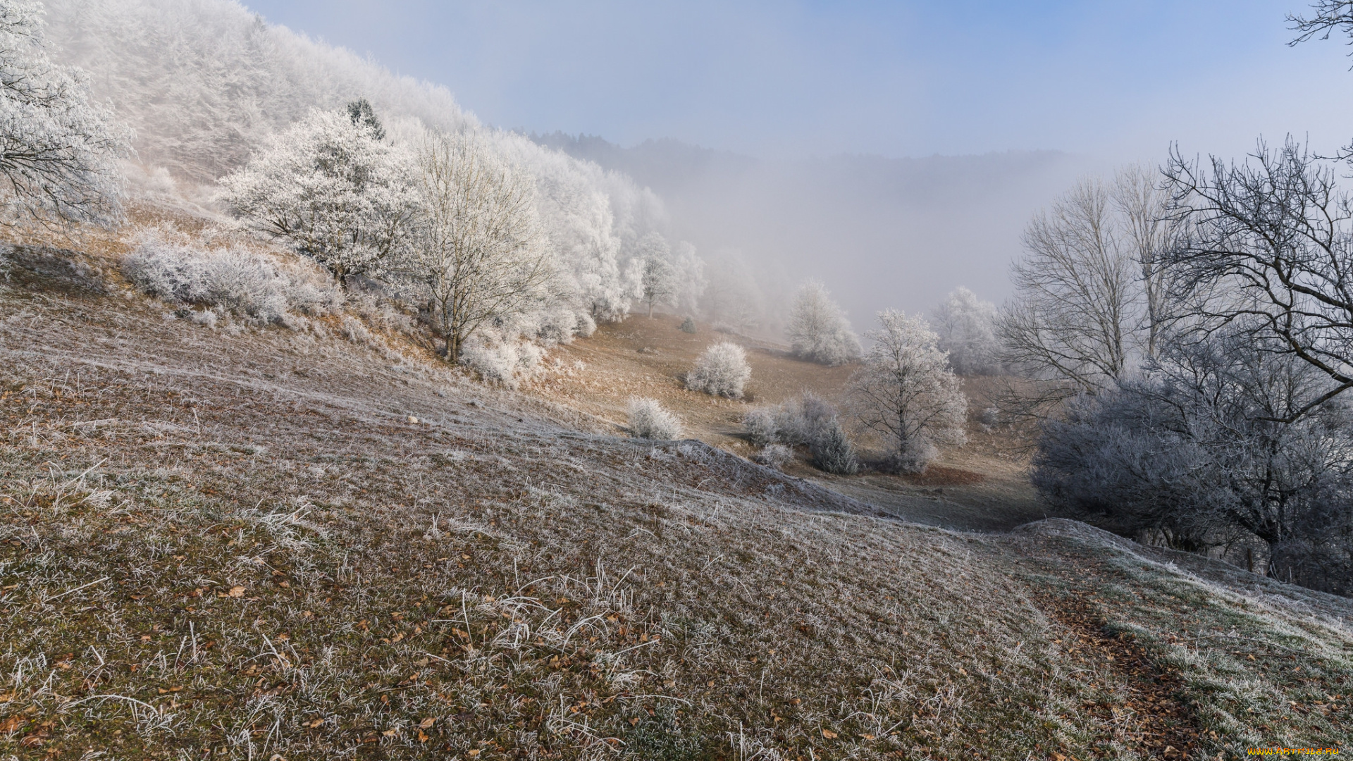 природа, дороги, иней