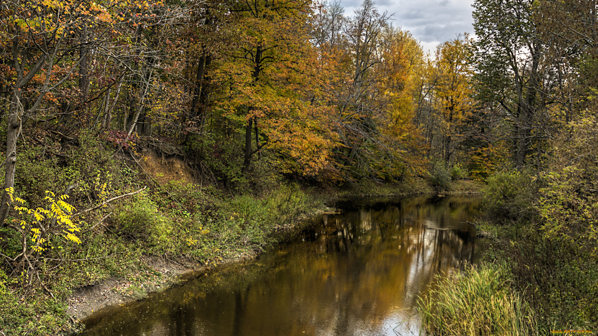 природа, реки, озера, река, лес
