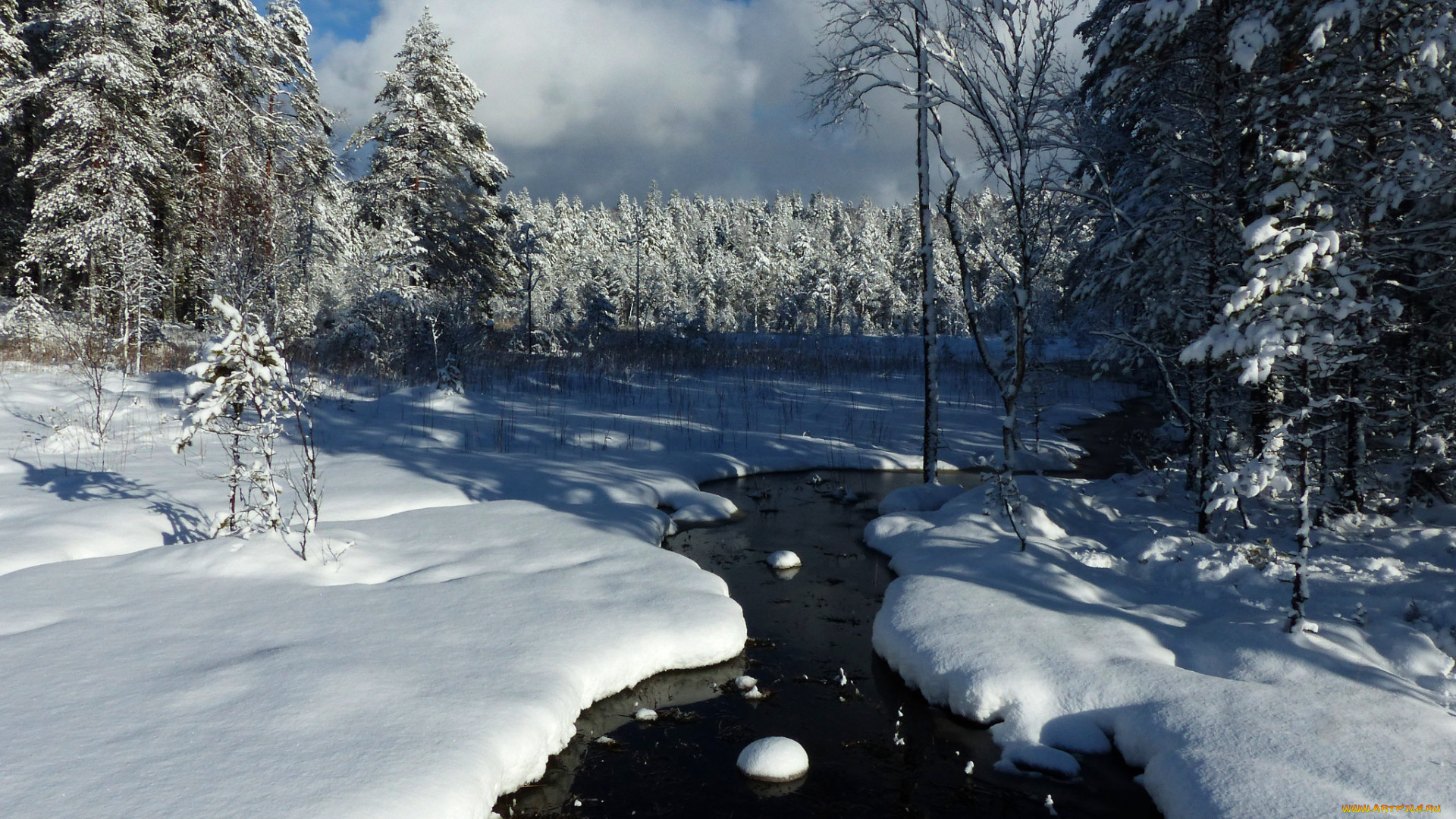 природа, зима, снег