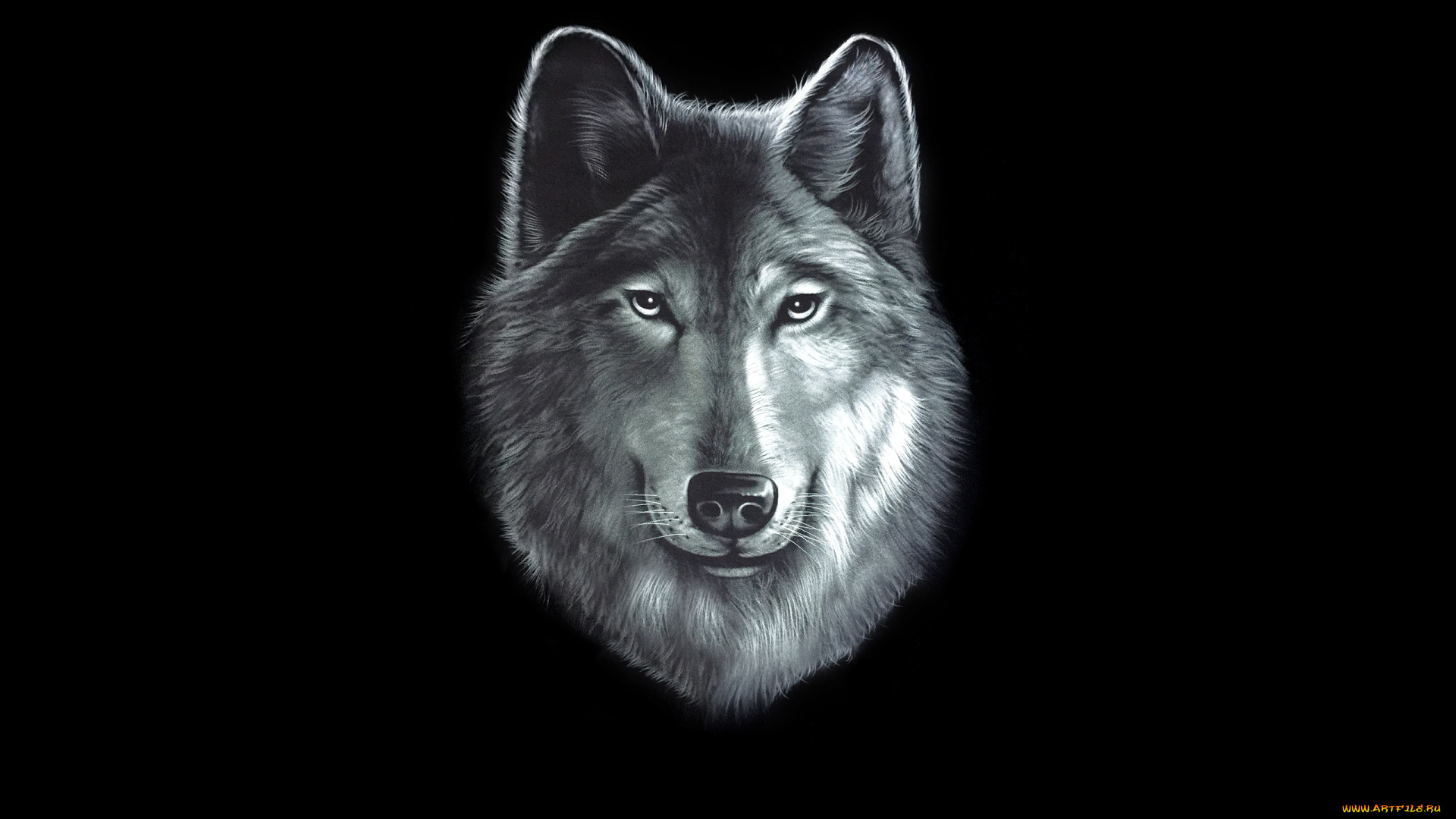 волк, рисованное, животные, , волки, голова, wolf, черный, фон