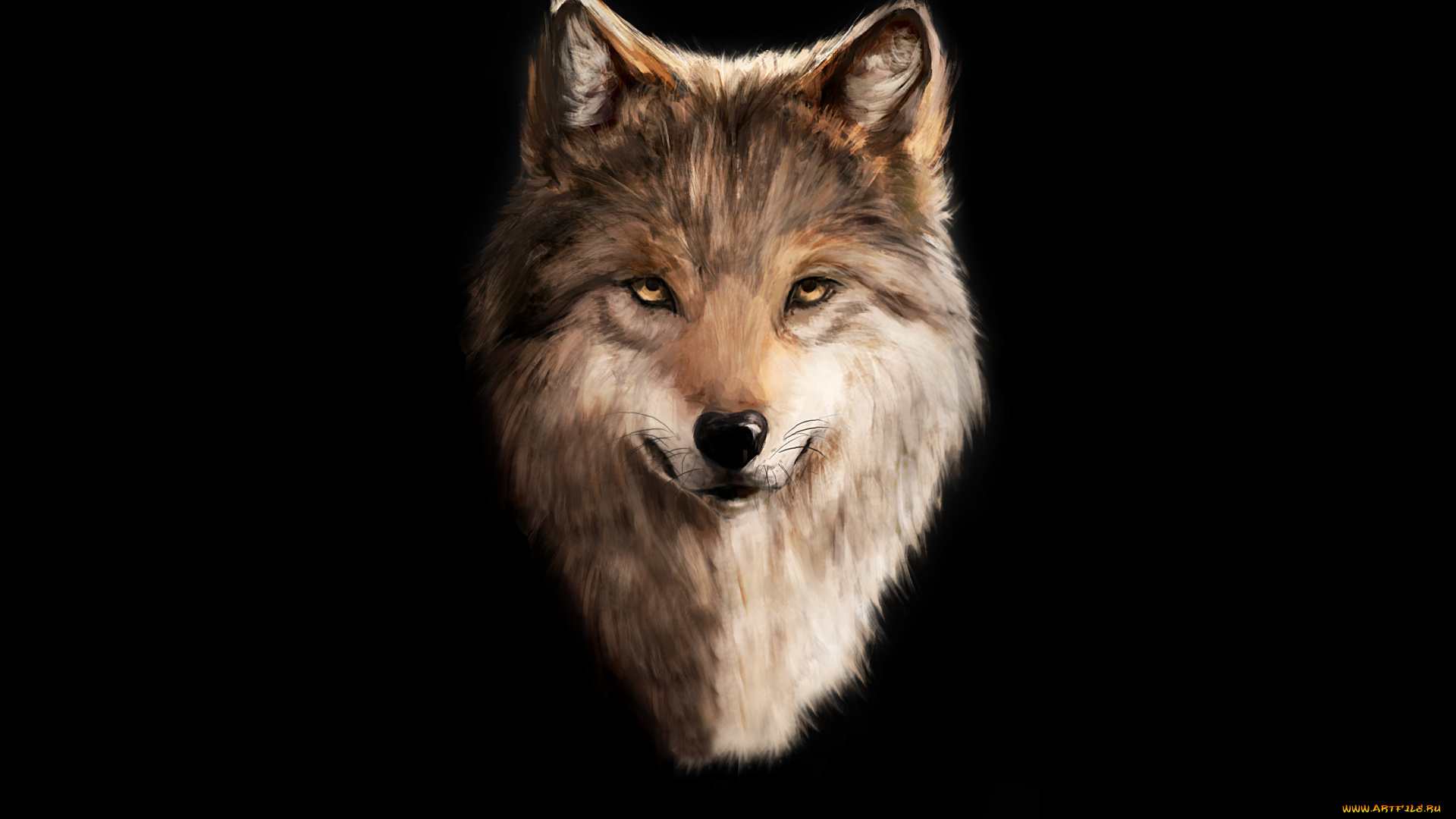 волк, рисованное, животные, , волки, голова, черный, фон, wolf