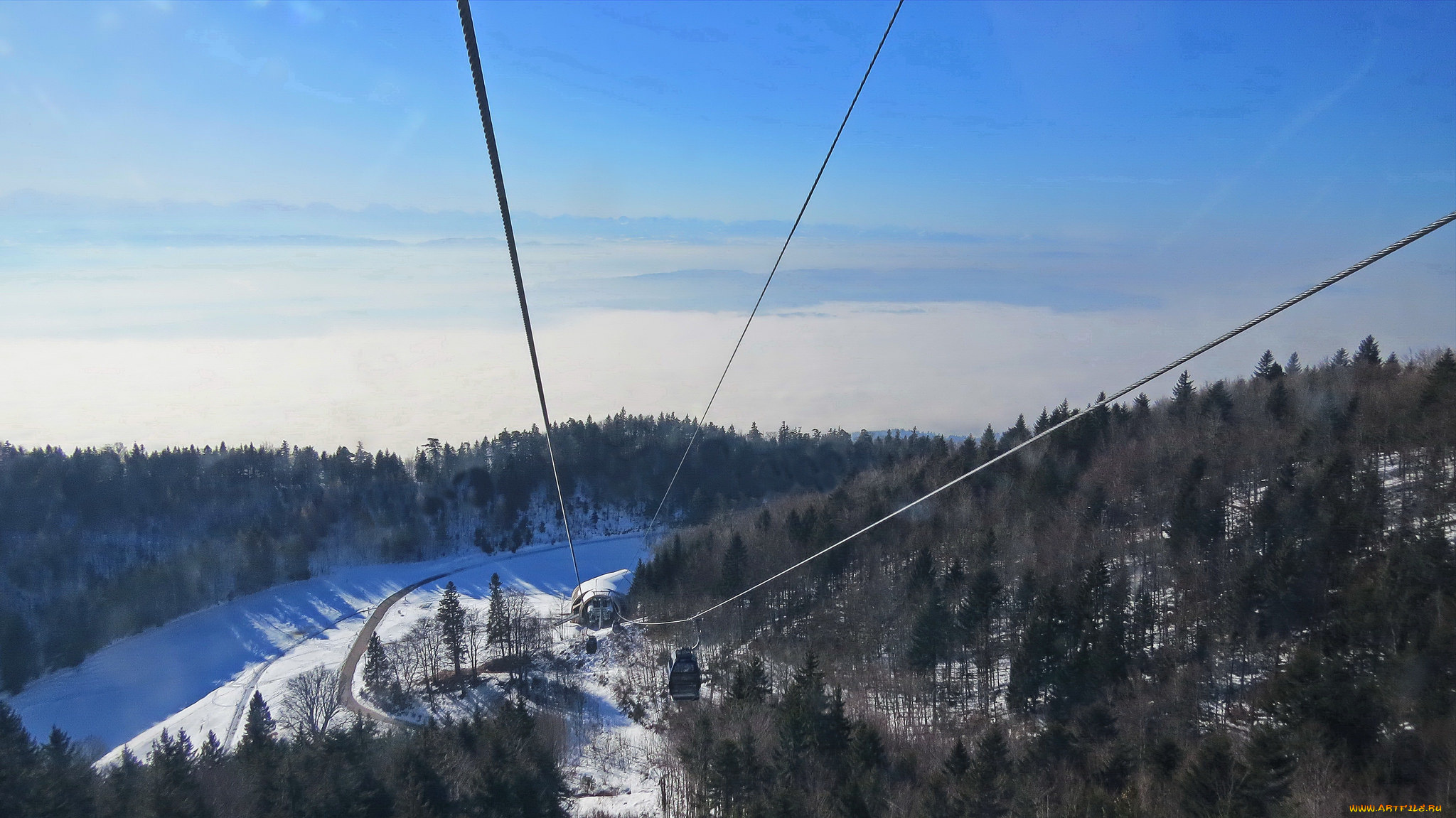 природа, пейзажи, снег, лес