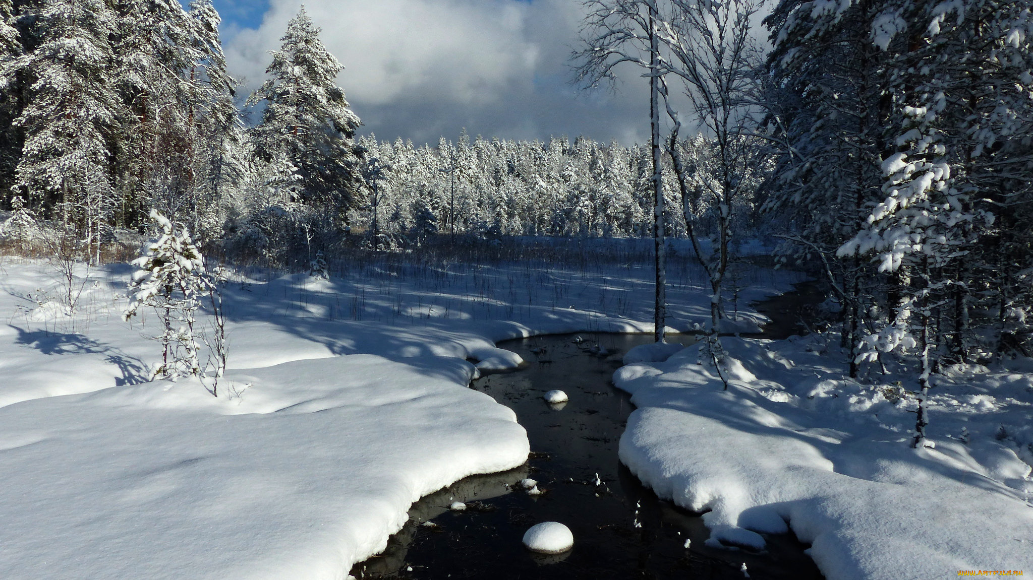 природа, зима, снег