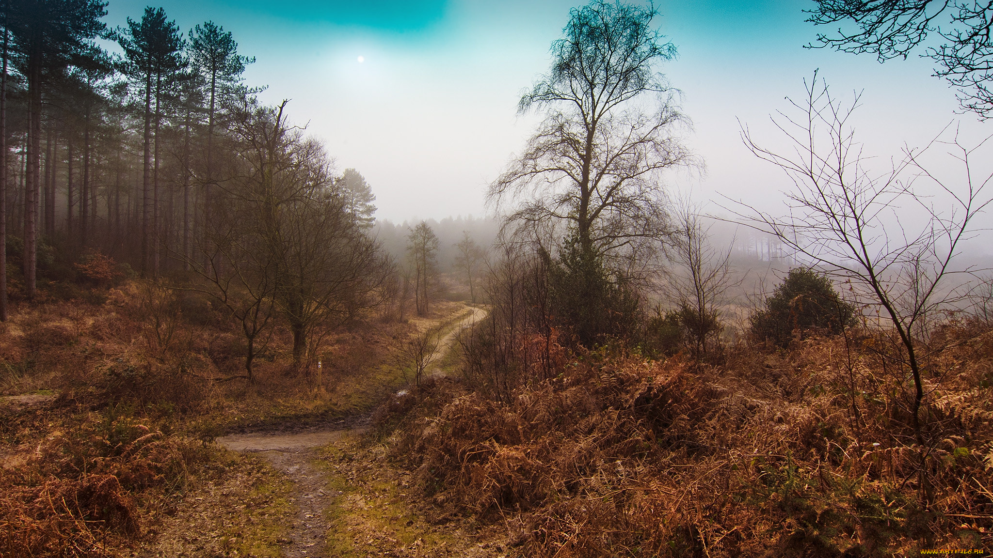 природа, дороги, дымка