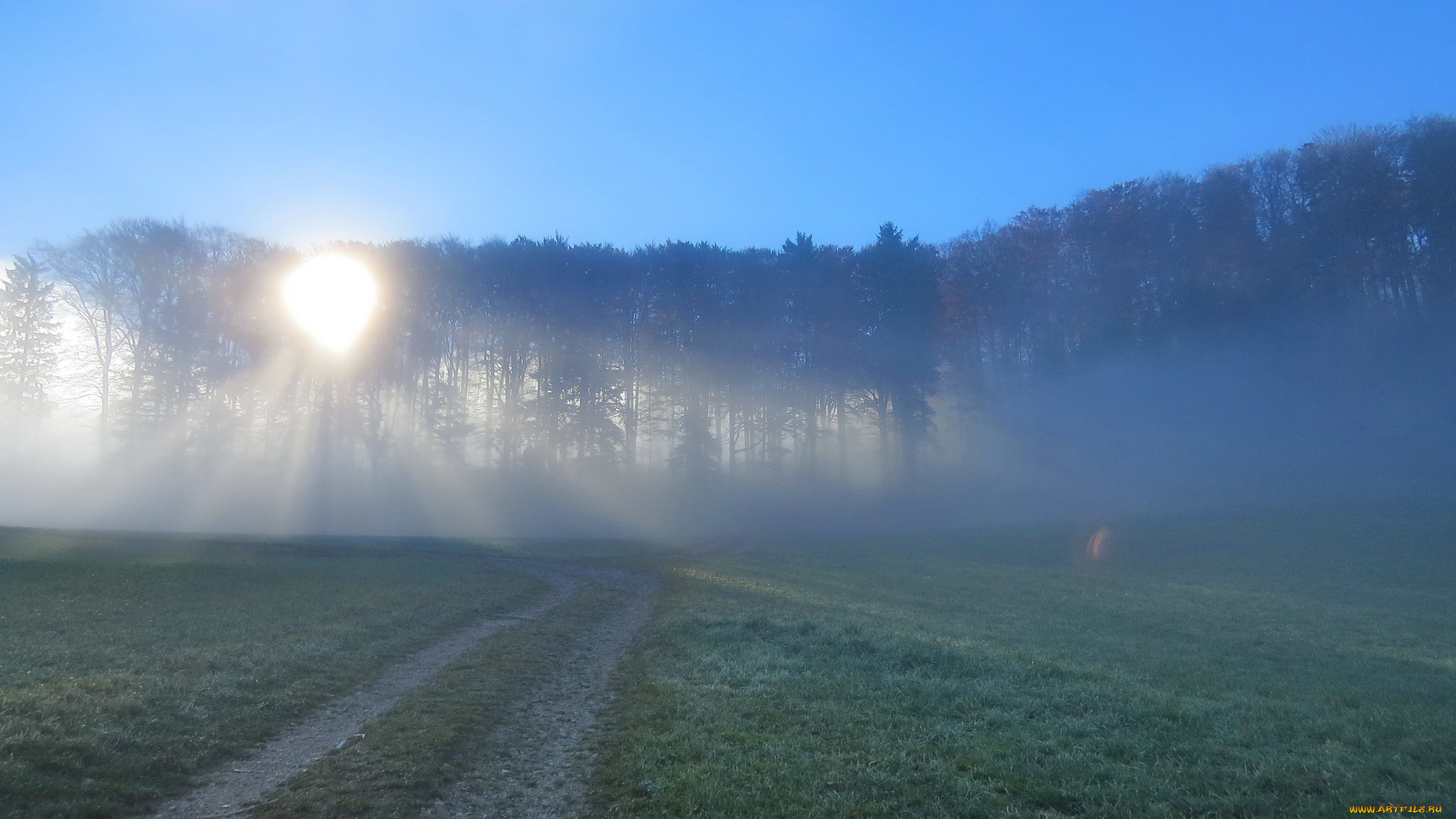 природа, дороги, туман, лес